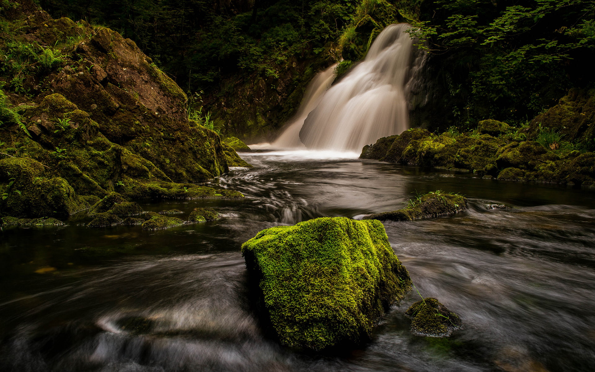 forest, river, nature, moss, stone, rock, big, near, green, false, hd, timelapse, 1080P, waterfall, HD Wallpaper