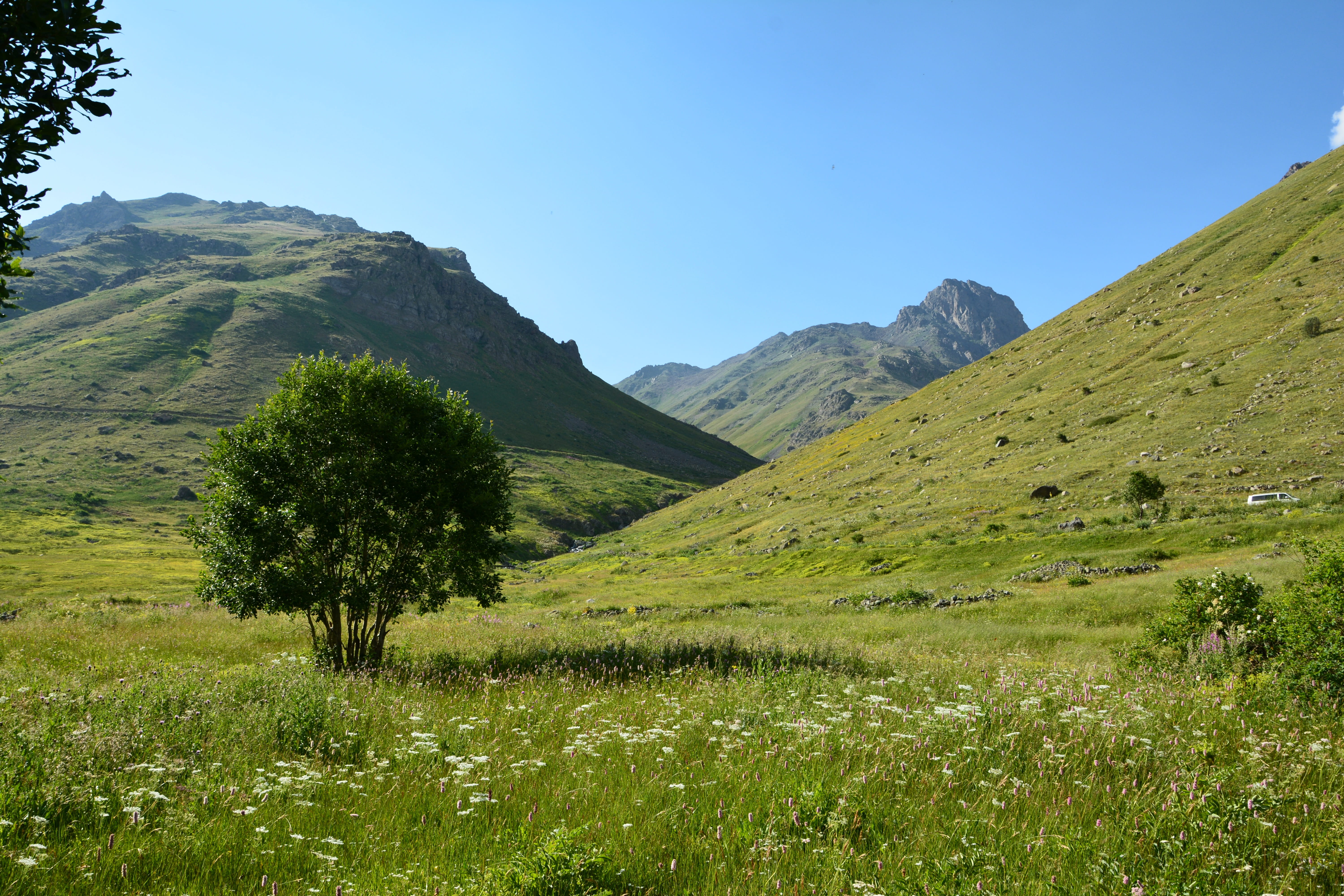 scenics - nature, outdoors, clouds, dom, holiday, clear sky, peace, river, highland, trout, tranquil scene, green color, Turkey, 5K, natural life, landscapes nature, HD Wallpaper