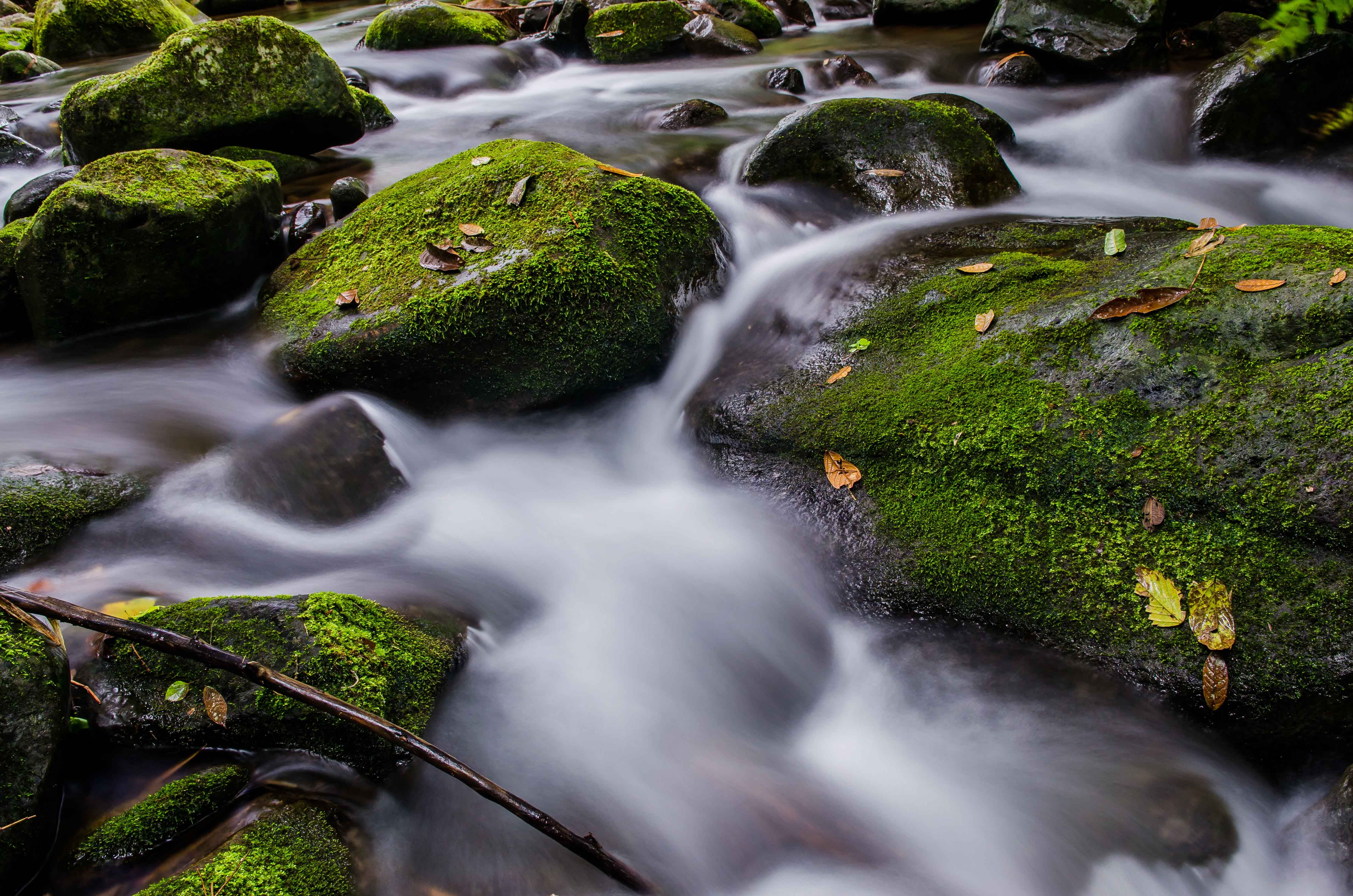 stone, 4K, waterfall, bukidnon, outdoors, green Color, forest, landscape, stream, philippines, water, rock, freshness, tree, rock - Object, nature, flowing Water, HD Wallpaper