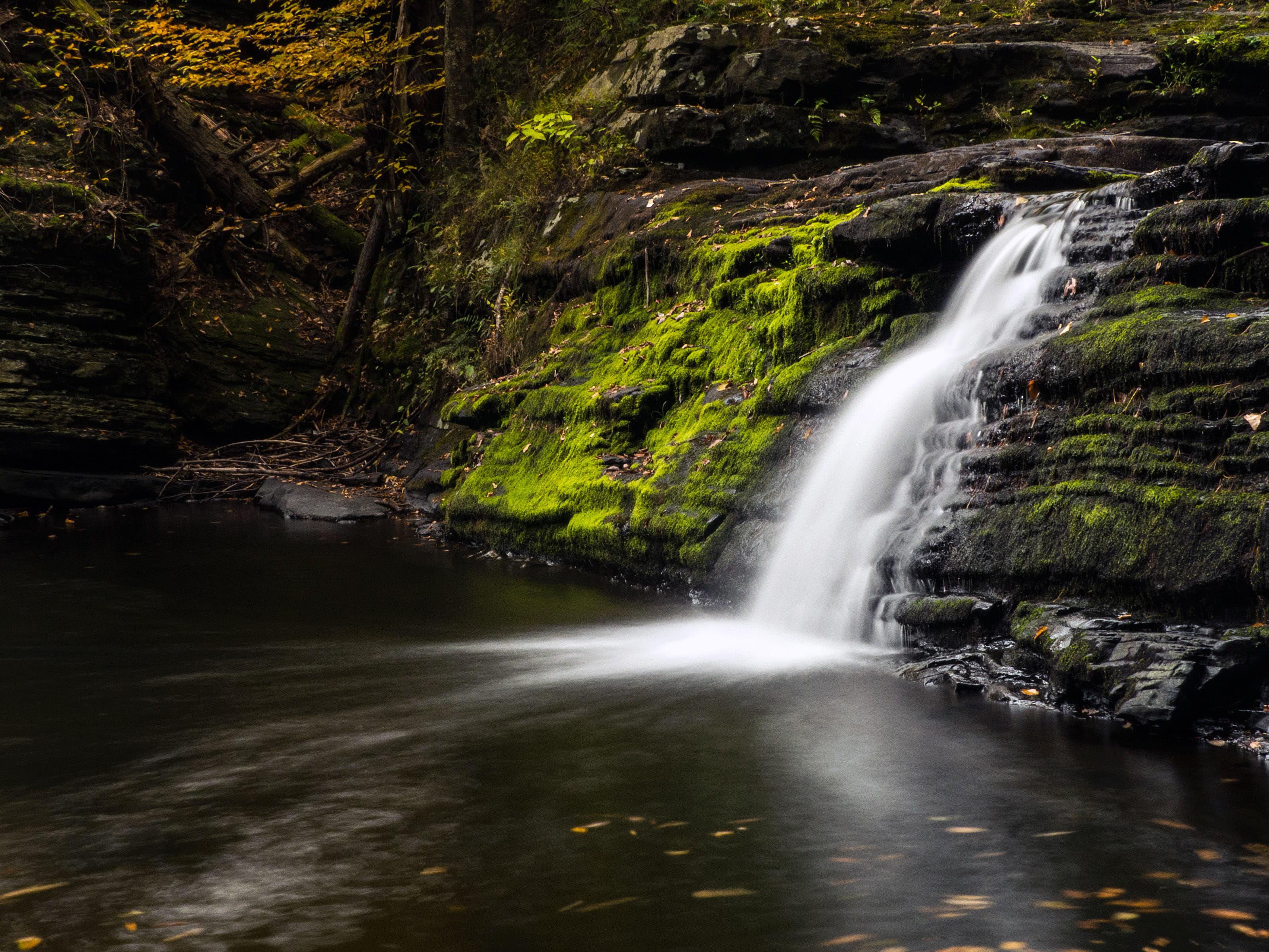 flowing, forest pictures, factory falls, waterfalls, cascades, george w childs recreation site, power in nature, viewed, nature pictures, blurred motion, HD Wallpaper