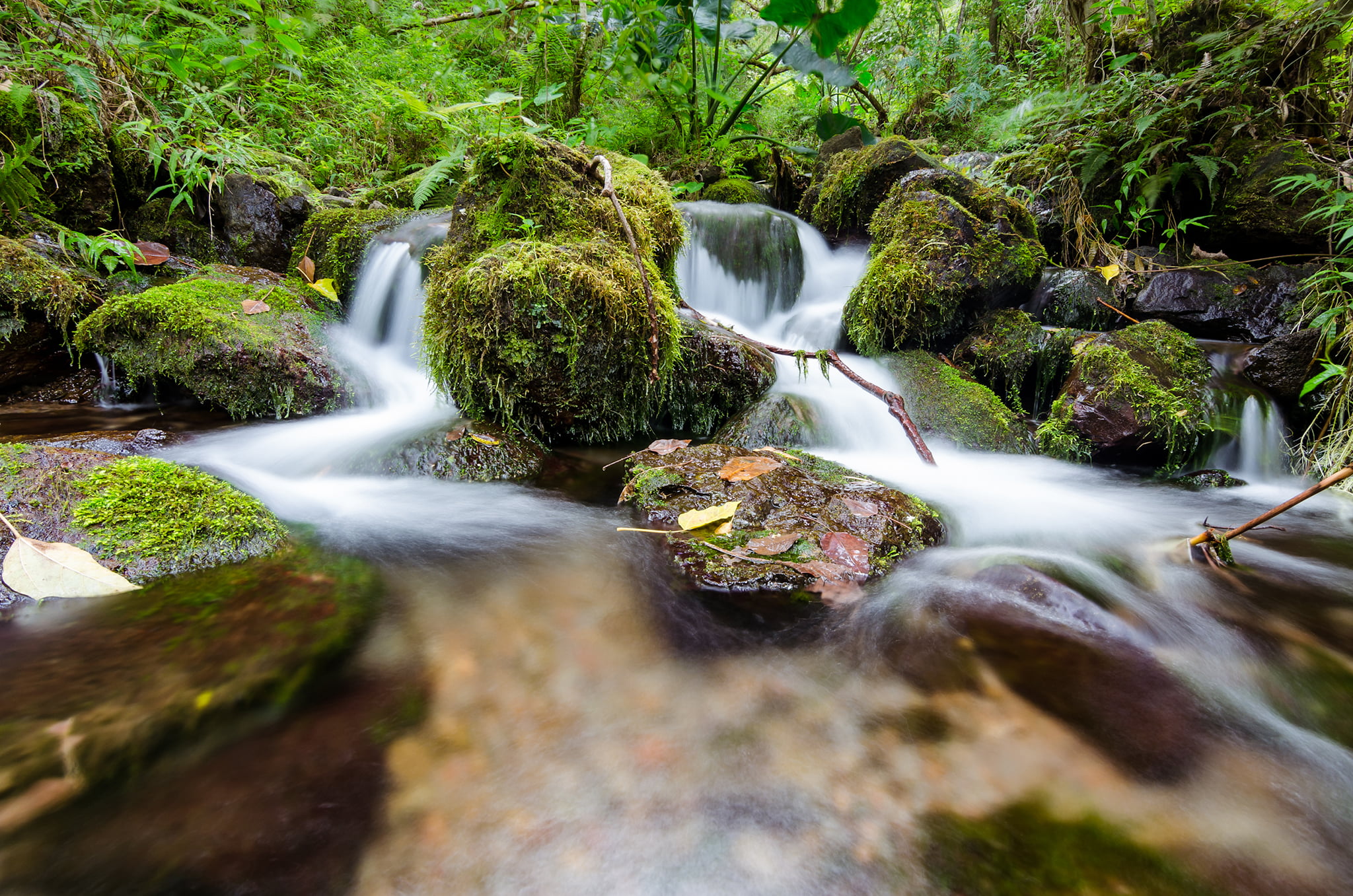 Long Exposure, Hawaii, rock, Forest, outdoors, green Color, Waterfall, tree, beauty In Nature, 1080P, Trail, landscape, running, nature, tropical Rainforest, HD Wallpaper