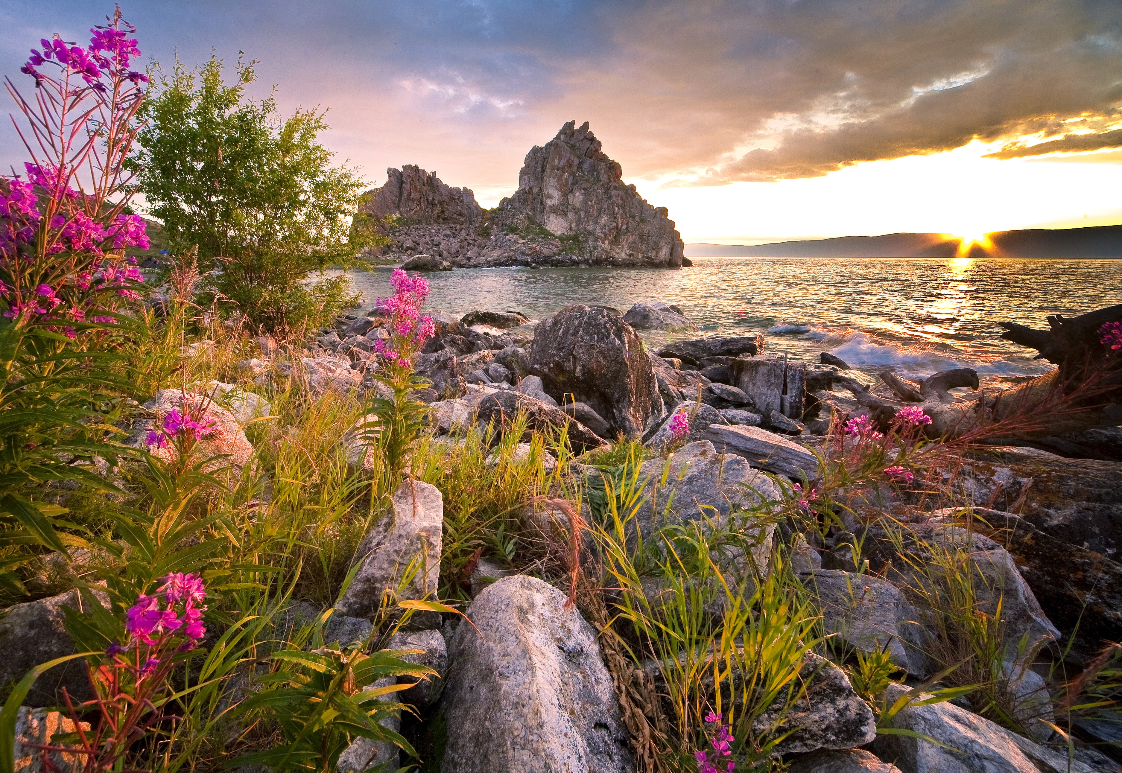 stones, Russia, pink, Lake Baikal, 2K, flowers, landscape, Baikal, Nature, photo, Lake, HD Wallpaper