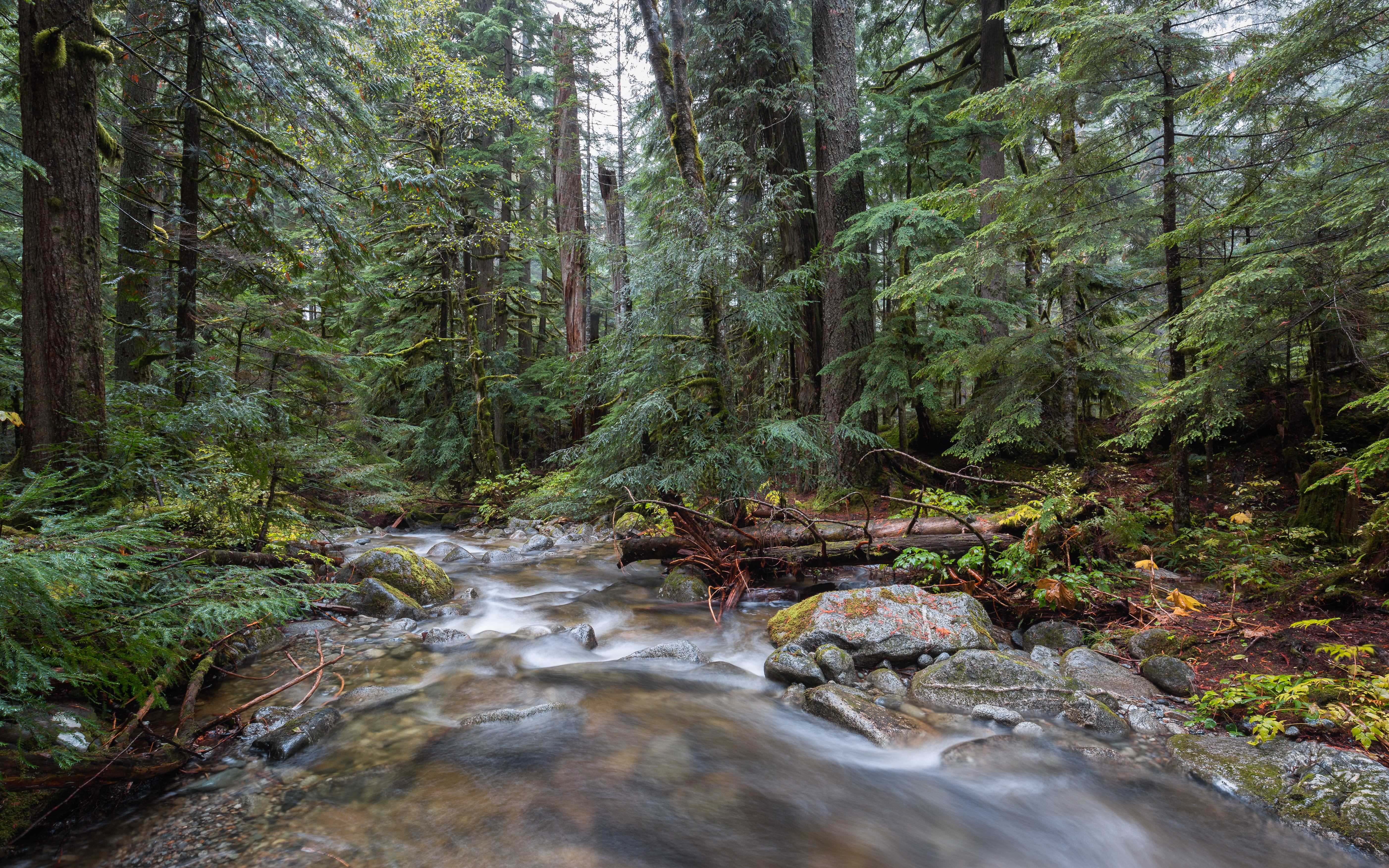 Nature, Falls, 4L, Canon EF, stream, landscape, rock - Object, Deception, brown, beauty In Nature, woodland, Washington, 35mm, tree, waterfall, green, river, HD Wallpaper