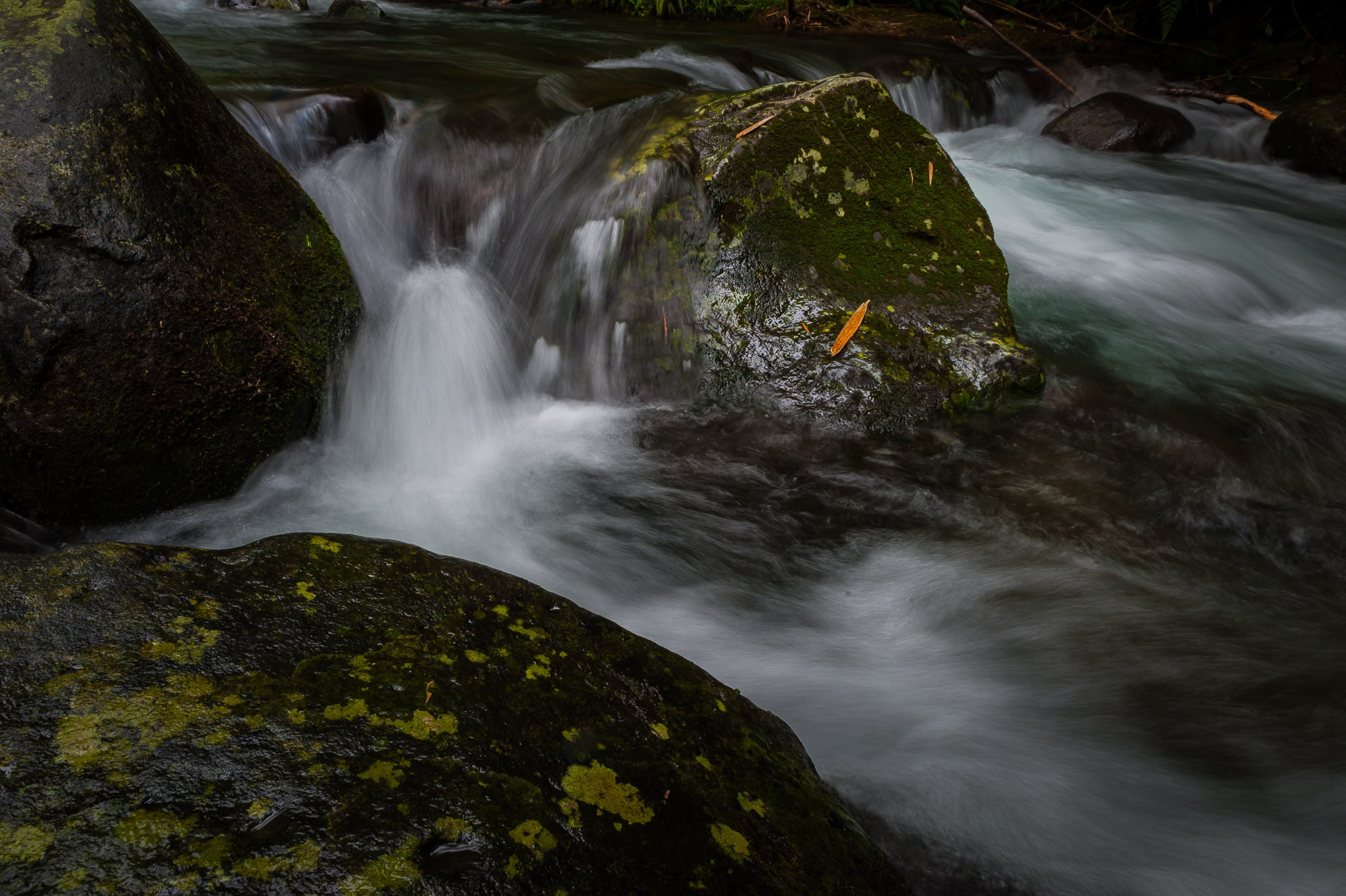 flowing, flowing Water, landscape, DSC, time, nature, falls, waterfall, scenics, lapse, moss, forest, time lapse, water, freshness, outdoors, long Exposure, HD Wallpaper