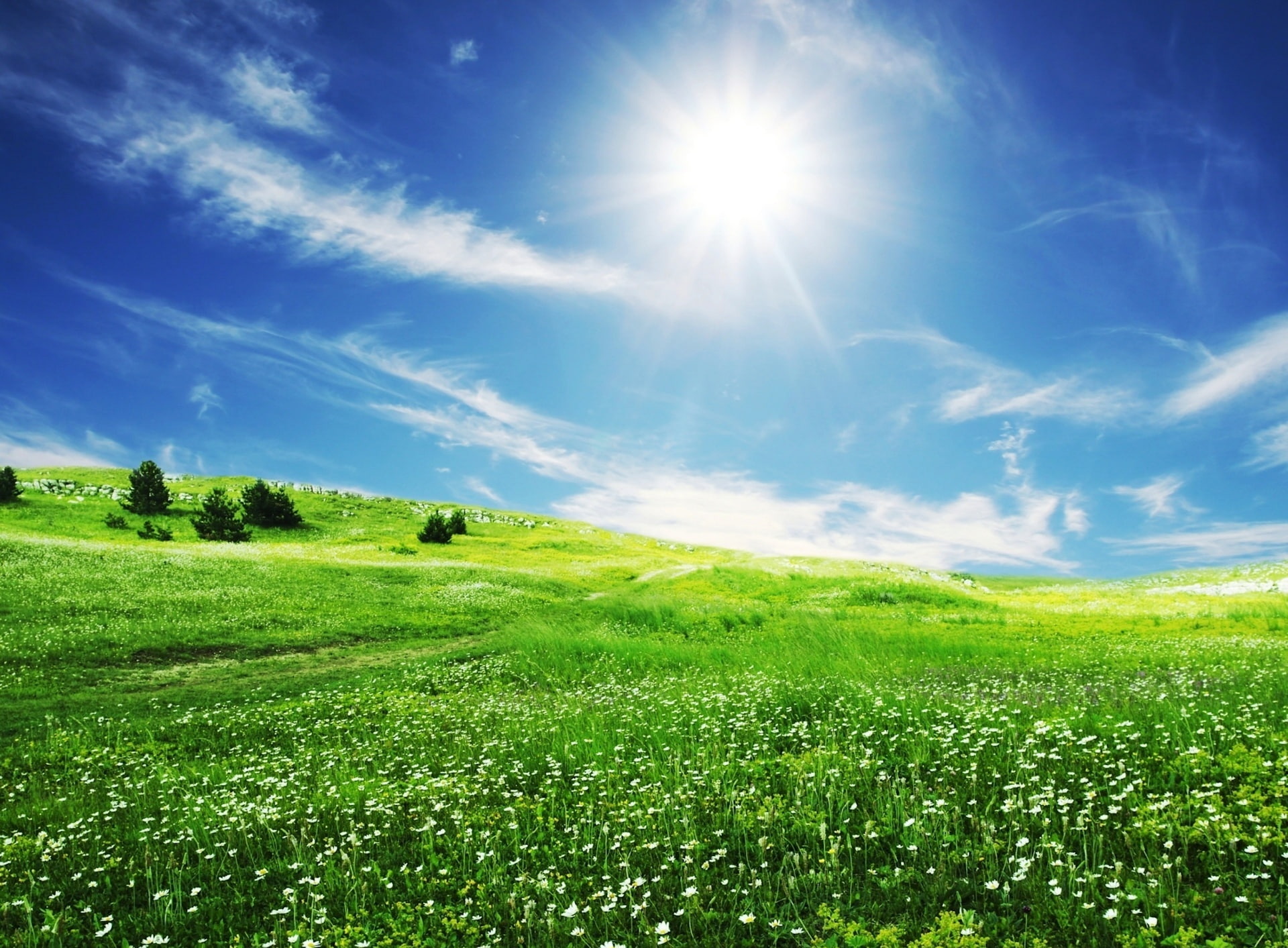 field, scenics - nature, brightly lit, tranquility, Summer, Creative, sunbeam, landscape, beauty in nature, bright, grass, no people, sky, tranquil scene, HD Wallpaper