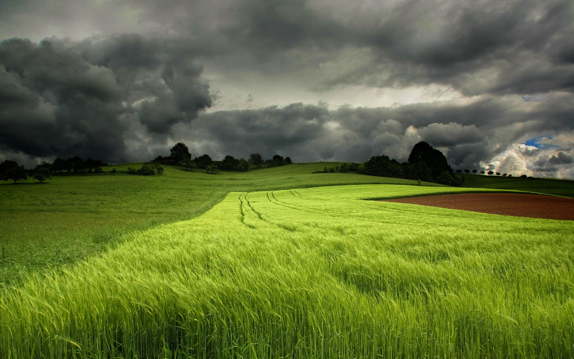 1080P, Summer, Sky, Fields, Green, grassfield, Cloudy, HD Wallpaper
