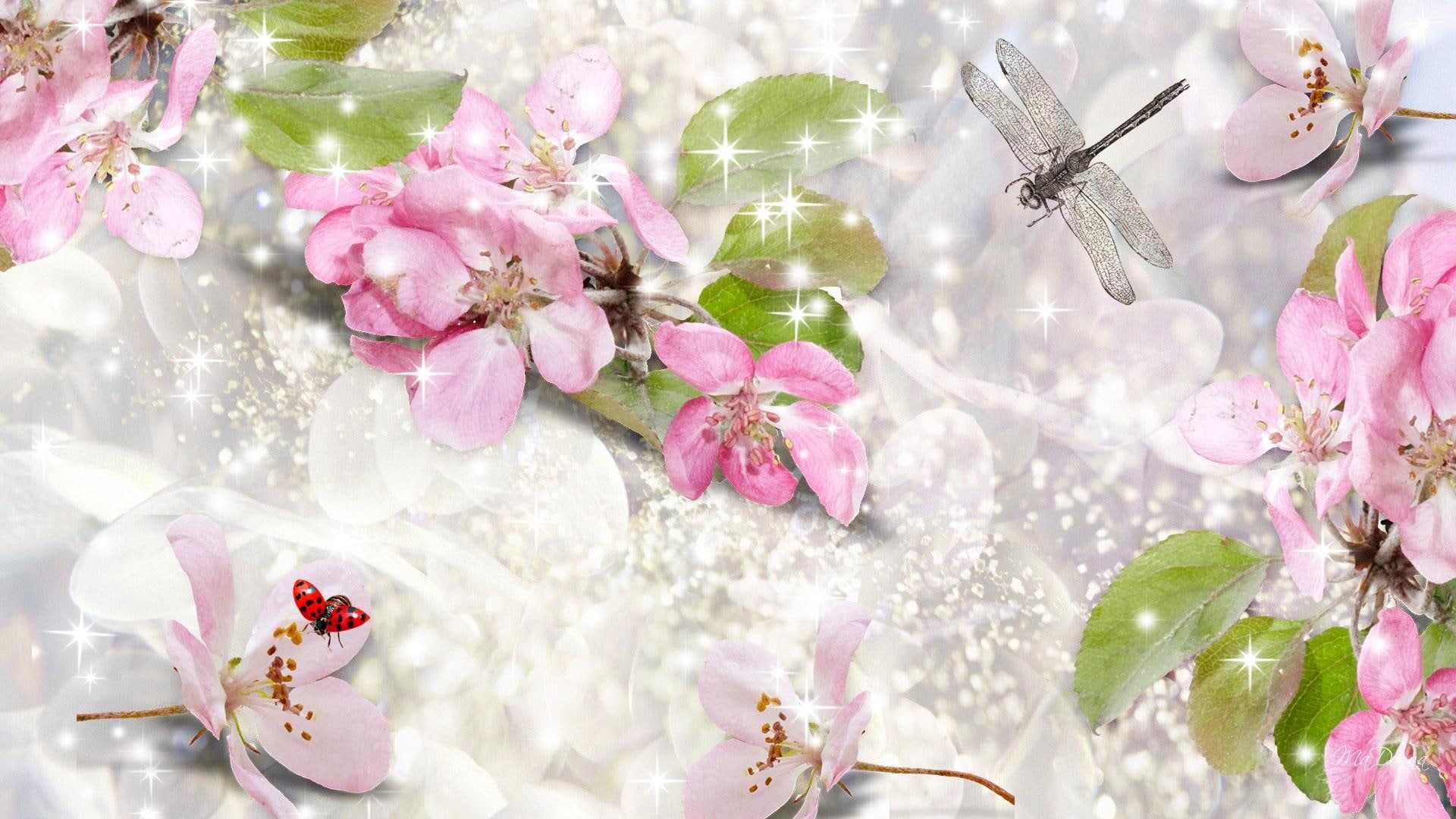 sparkle, dragon fly, stars, cherry blossoms, spring, nature, lady, 1080P, apple blossoms, dragonfly, sakura, harmony, HD Wallpaper