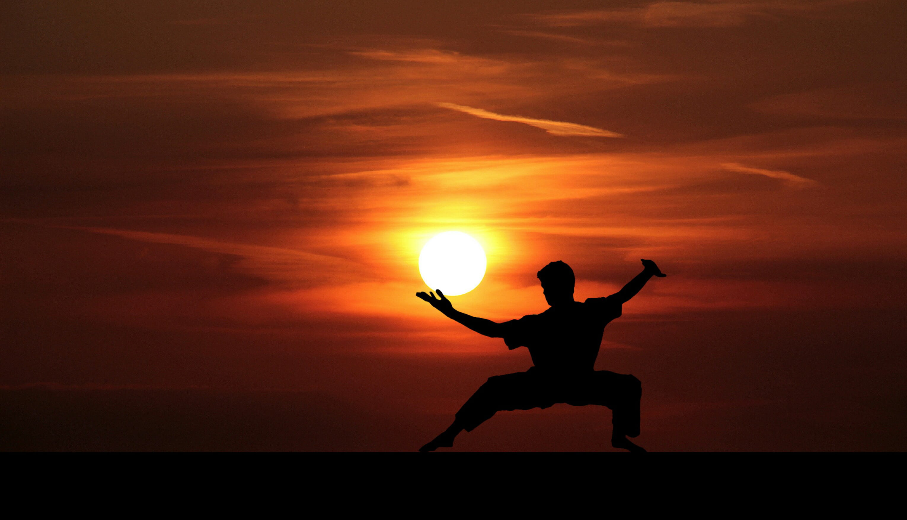 japan, fu, human arm, fighter, kungfu, arms raised, freedom, health, limb, full length, beauty in nature, harmony, sunset, china, one person, japanese, HD Wallpaper
