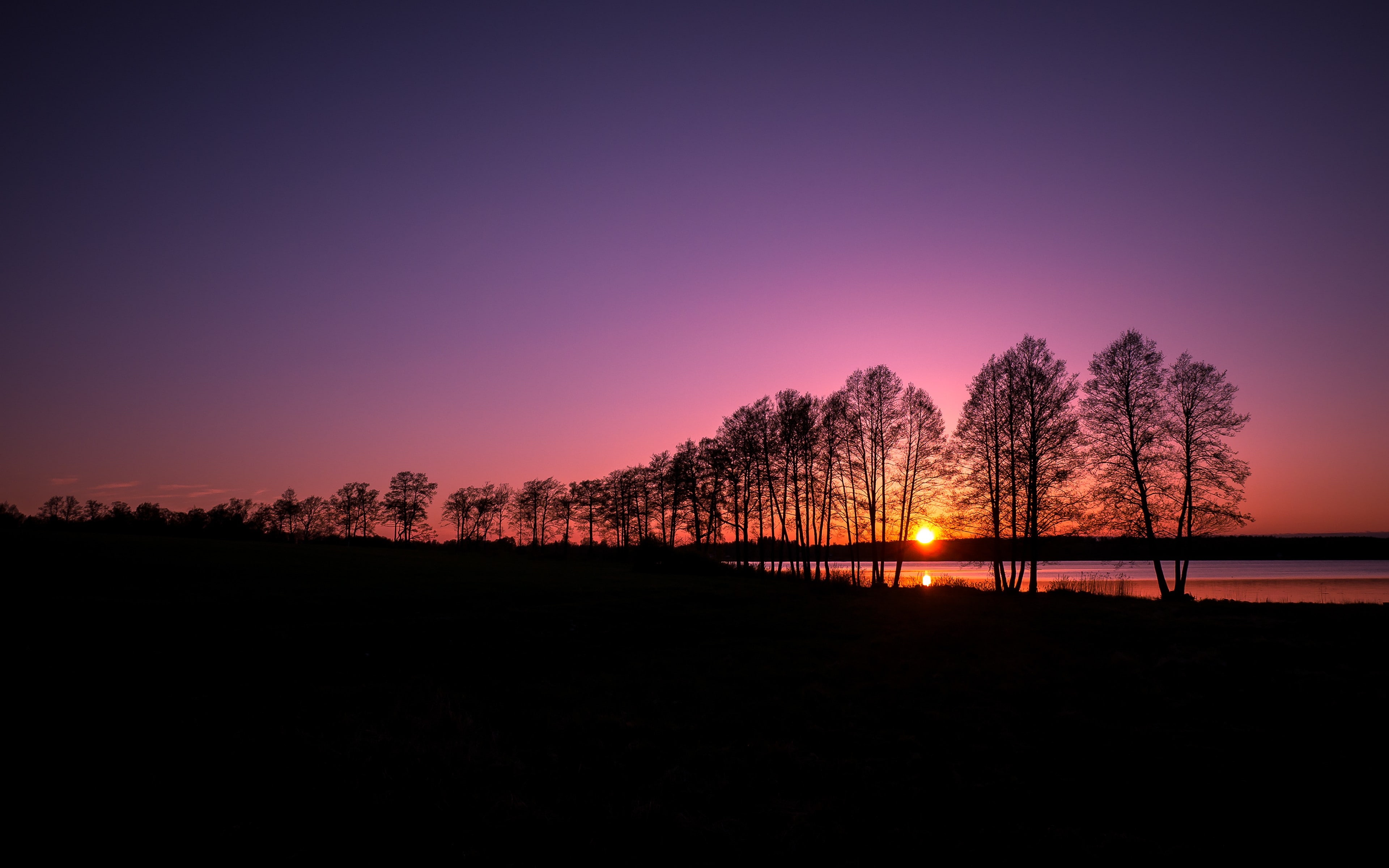 nature, clear sky, landscape, evening, sunset, 4K, trees, silhouette, lake, HD Wallpaper