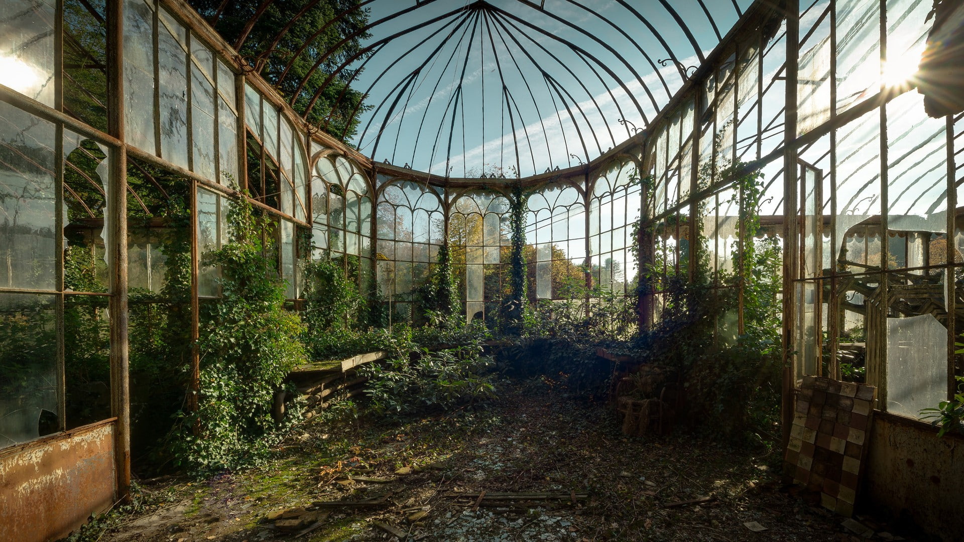 1080P, greenhouse, abandoned, HD Wallpaper