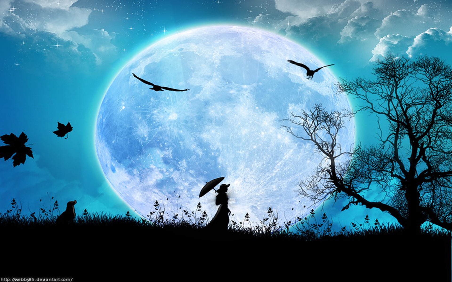 luna, llena, 1080P, HD Wallpaper