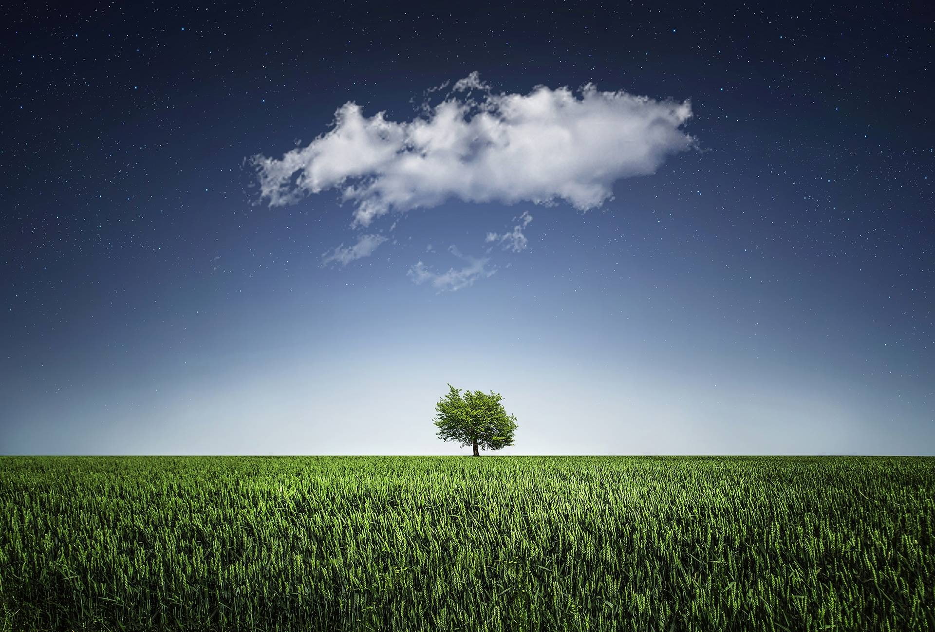 grass, landscape, nightsky, cloud, meadow, 1080P, tree, natur, HD Wallpaper