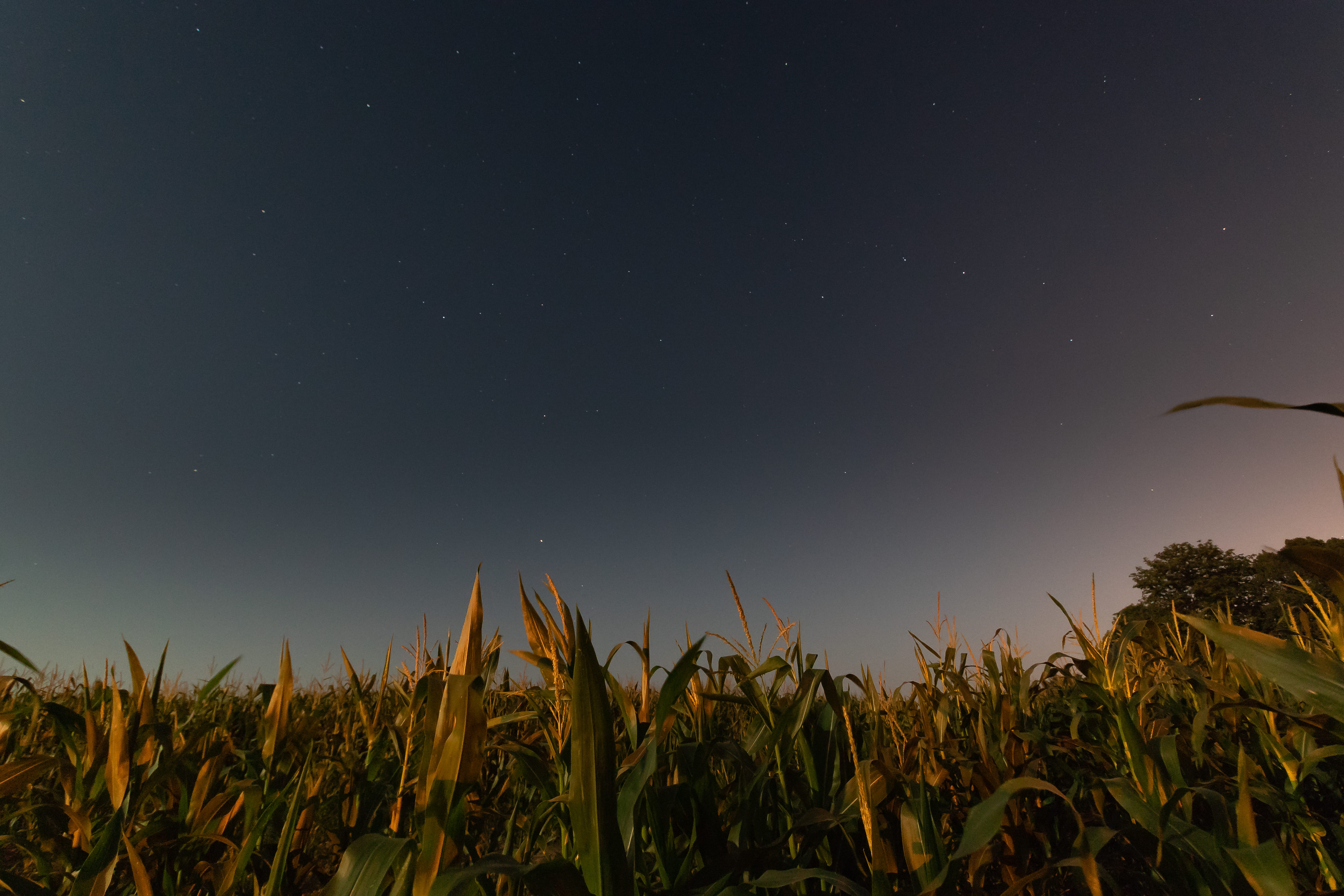 environment, starlight, scenics, nightsky, crop, dark, backgrounds, summernight, field, grass, beauty In Nature, cloud - Sky, big dipper, sun, summer, non-Urban Scene, HD Wallpaper