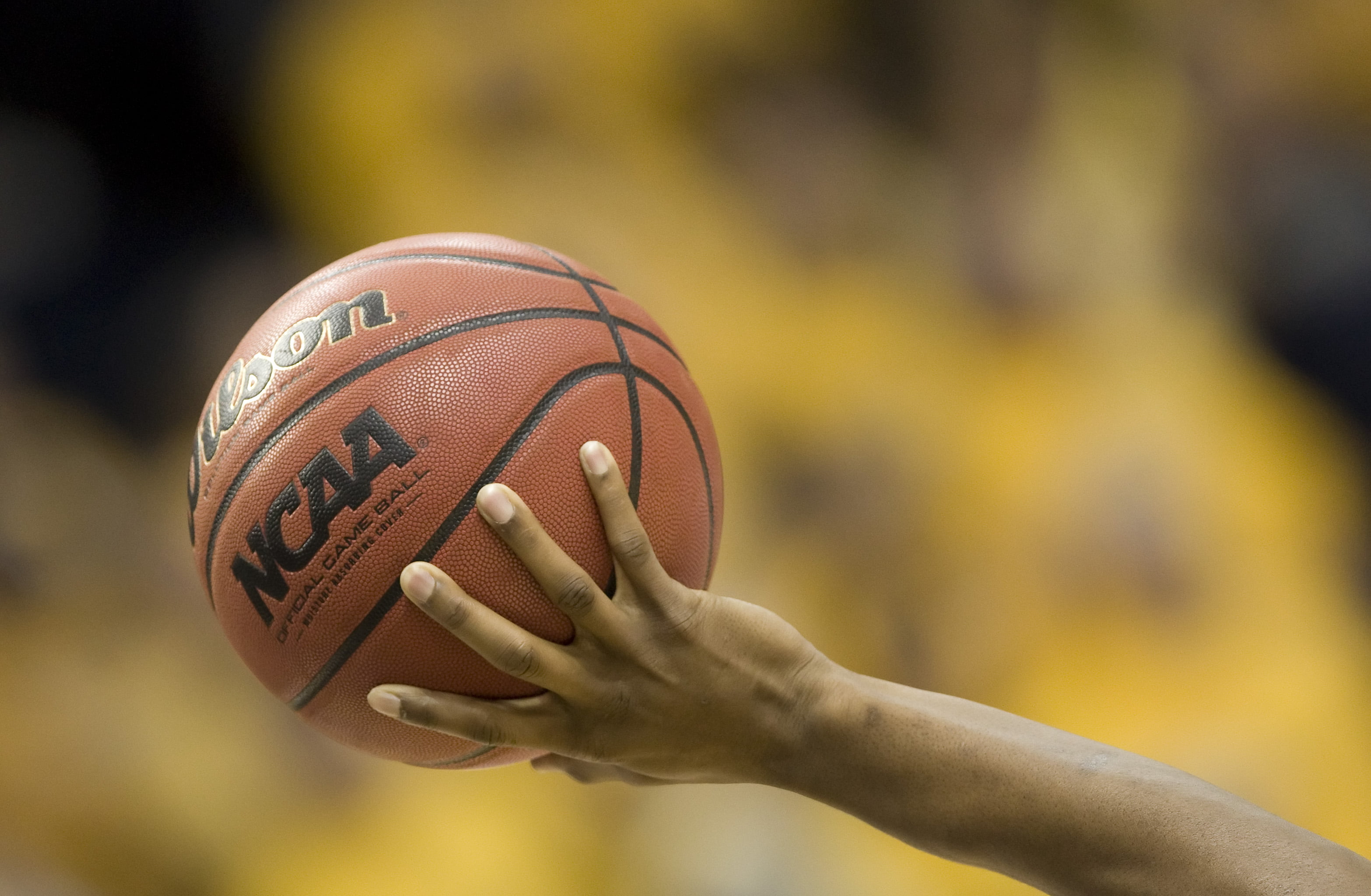 hand, murray, collegiate, red, Murray  KY, Murray State University, basketball - Sport, team Sport, person, college basketball, ball, outdoors, life, s, HD Wallpaper