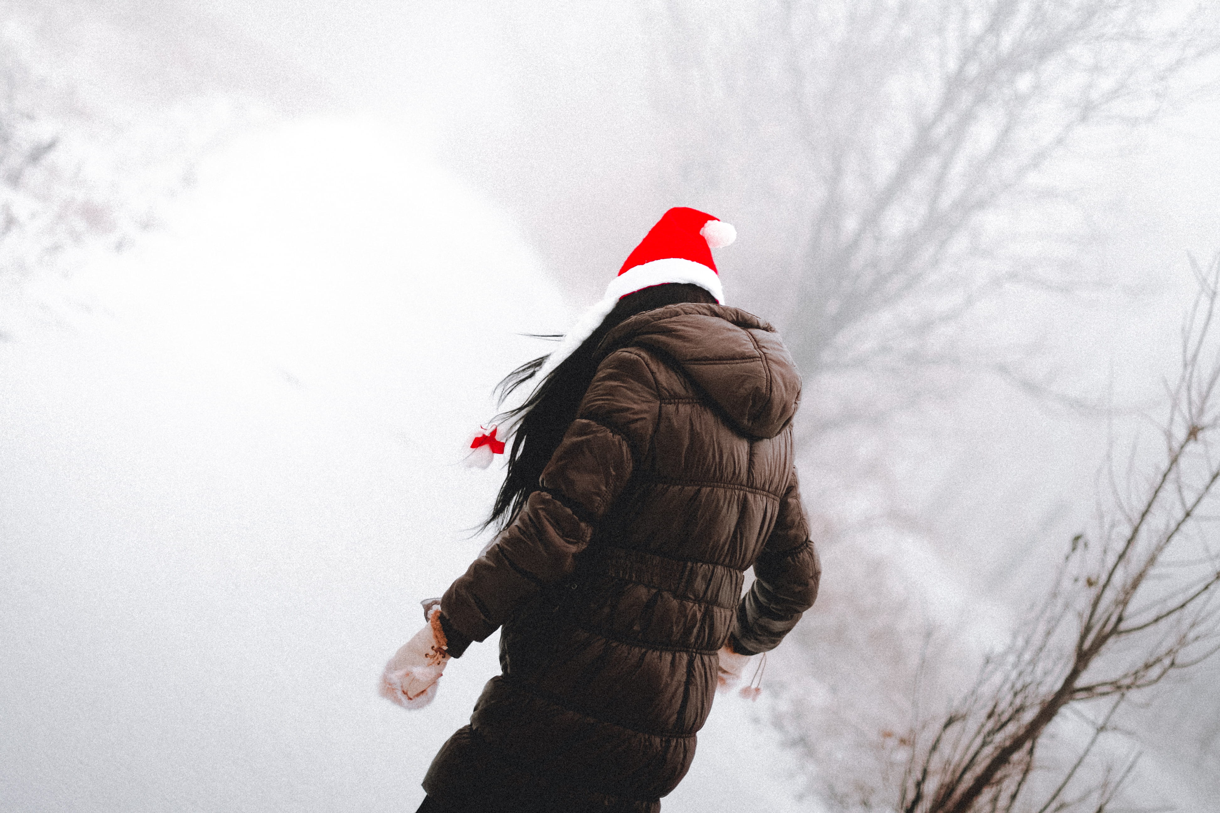 time, snow, christmas, holidays, standing, path, merry christmas, bare tree, forest, christmas holidays, woman, 4K, top, rear view, winter, tree, women, HD Wallpaper