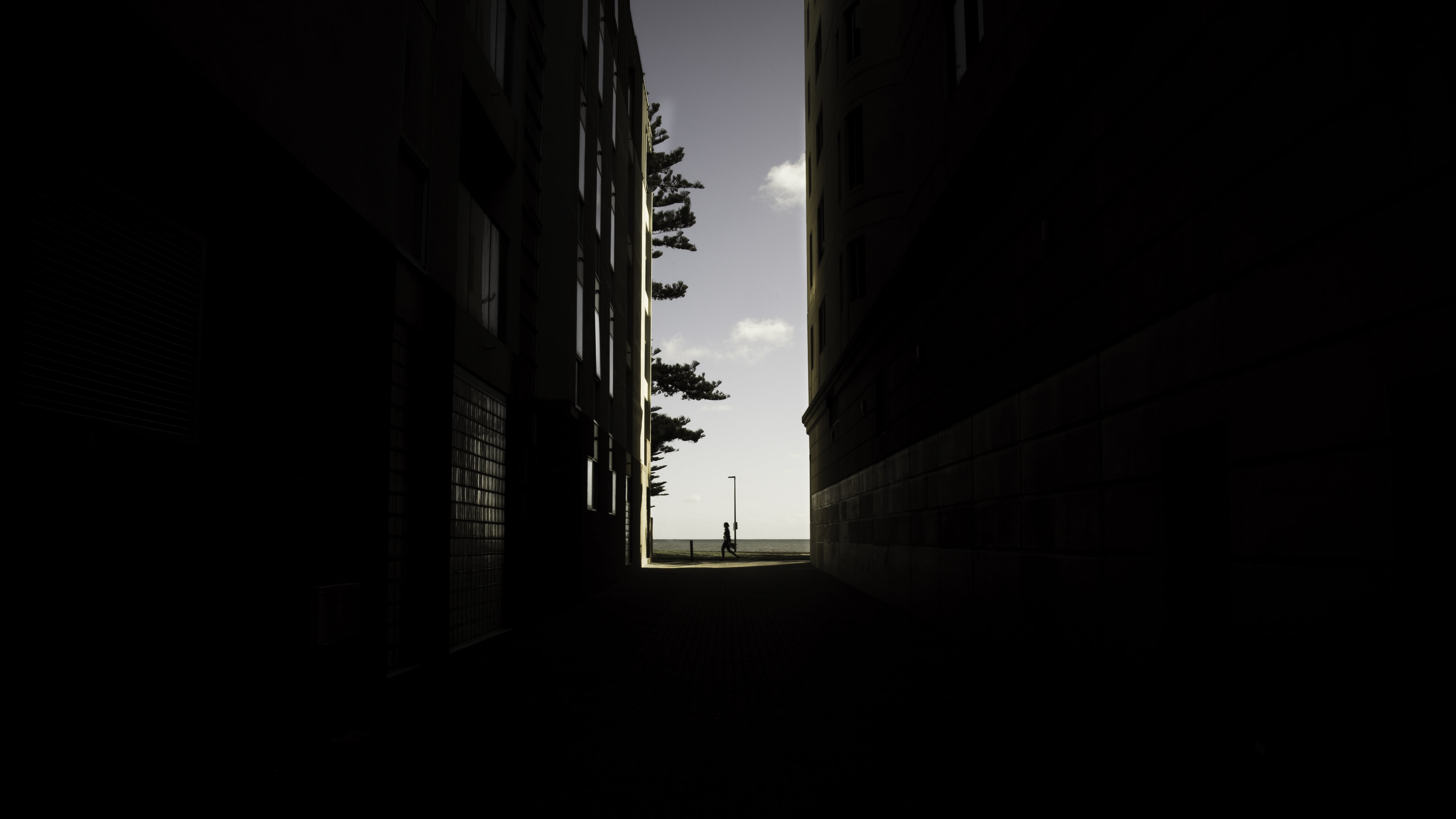 nature, city, light, outdoors, buildings, sunlight, space, windows, trees, sunset, cloud, architecture, no people, dark, lines, untitled, residential district, HD Wallpaper