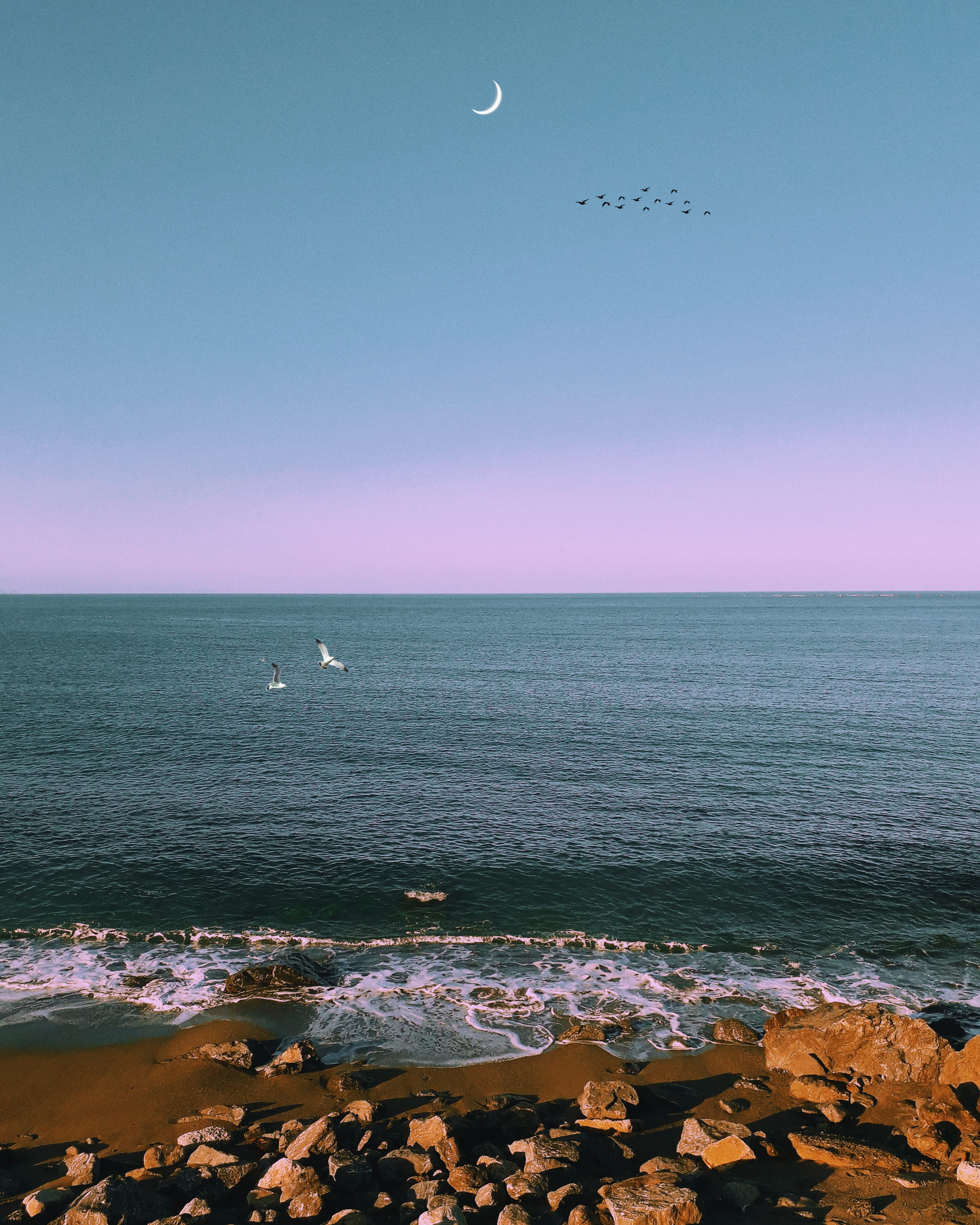 moon, flock, seascape, shore, relaxation, sky, travel, flying, scenics - nature, nature, birds, 2K, half moon, rocks, summer, waves, tranquil scene, sunset, Phone HD Wallpaper