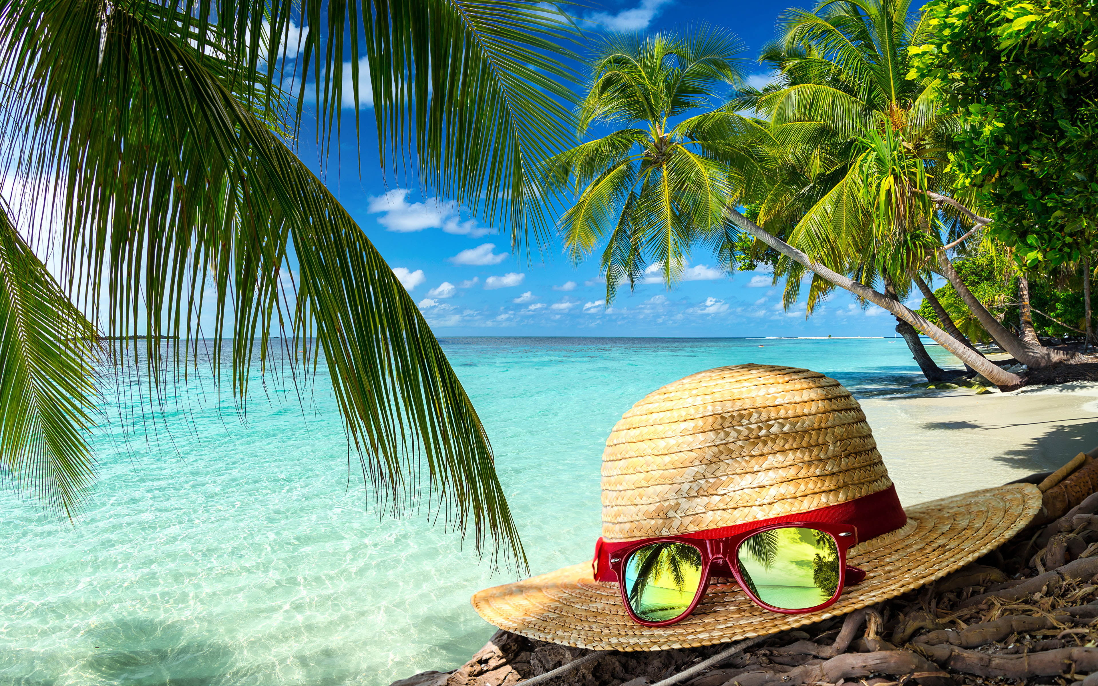 sky, coconut palm tree, palm tree, outdoors, palm, tree, trip, sun, scenics - nature, trees, summer, tranquil scene, sunglasses, plant, tropical, HD Wallpaper