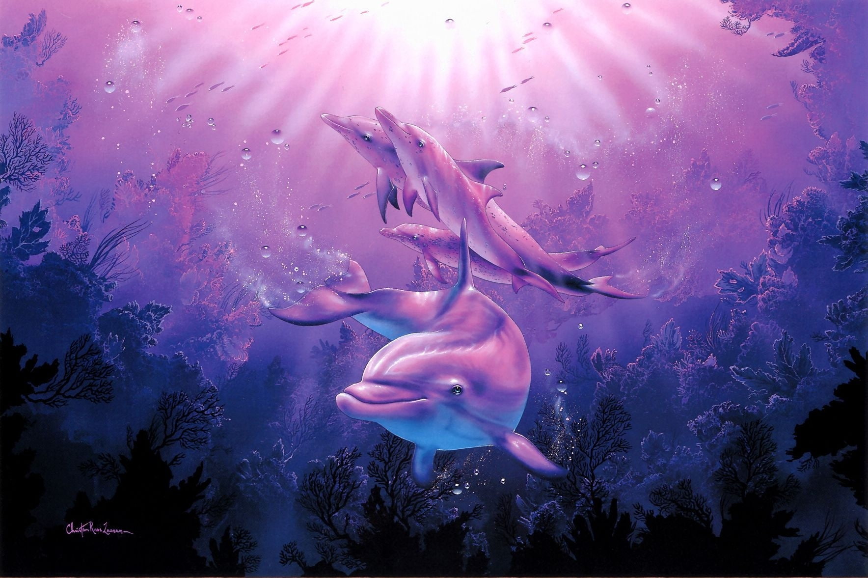 water, sea life, swimming, Corals, no people, group of animals, pink color, vertebrate, purple, beauty in nature, animals in the wild, marine, Riese, animal, HD Wallpaper