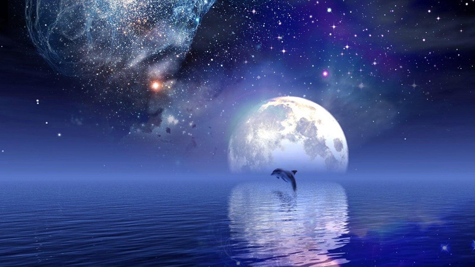 animals, Dolphins, 720P, hd, x, art, HD Wallpaper