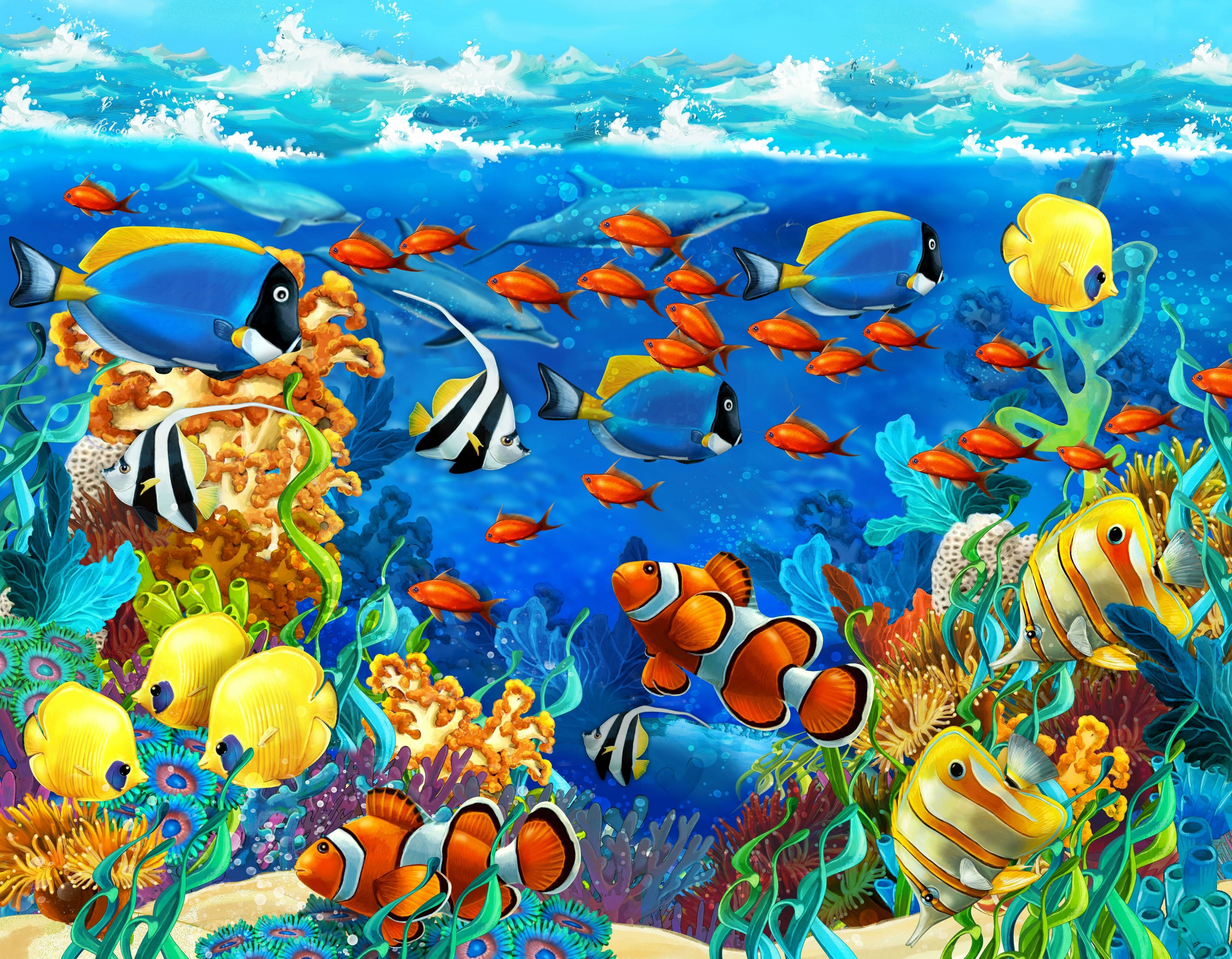 tropical, Corals, Dolphin, fish, underwater, Seabed, sea, ocean, 4K, HD Wallpaper