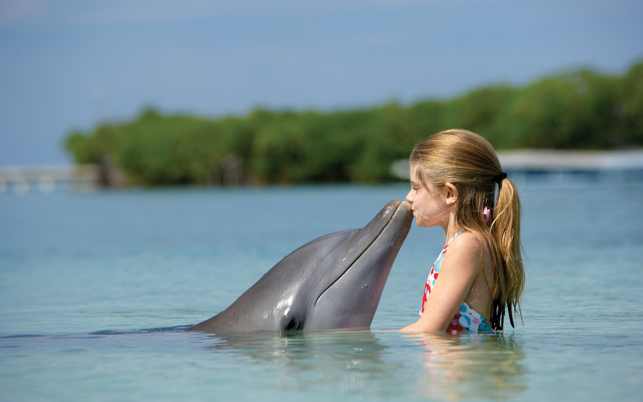 ponytail, little girl, children, 2K, dolphin, animals, water, HD Wallpaper