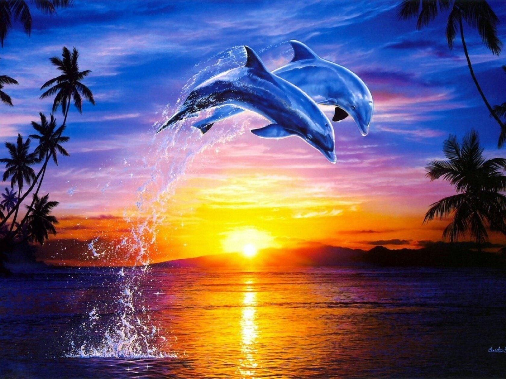Artistic, Animal, Dolphin, Tropical, Palm Tree, Ocean, 720P, Sunrise, HD Wallpaper