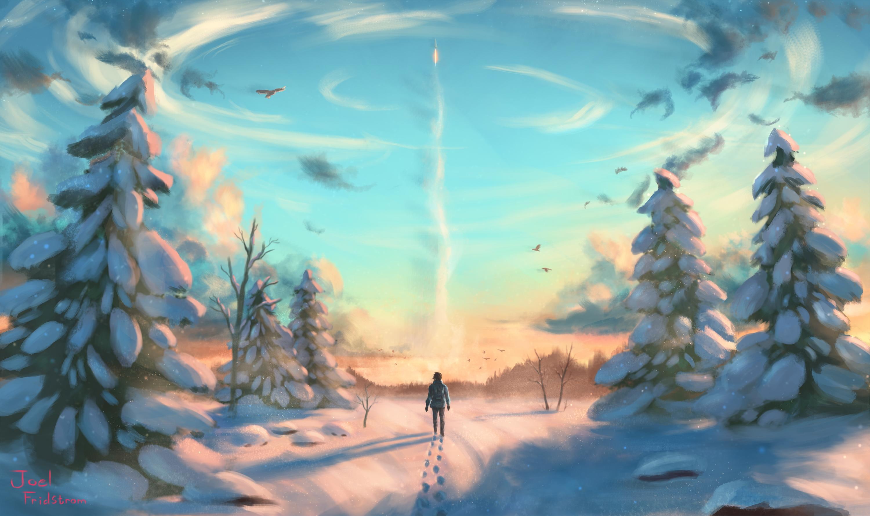 x, artwork, px, digital, art, 2K, digital art, 3000x1779 px, Landscape, BIRDS, hd, games, rocket, starcraft, snow, video, HD Wallpaper
