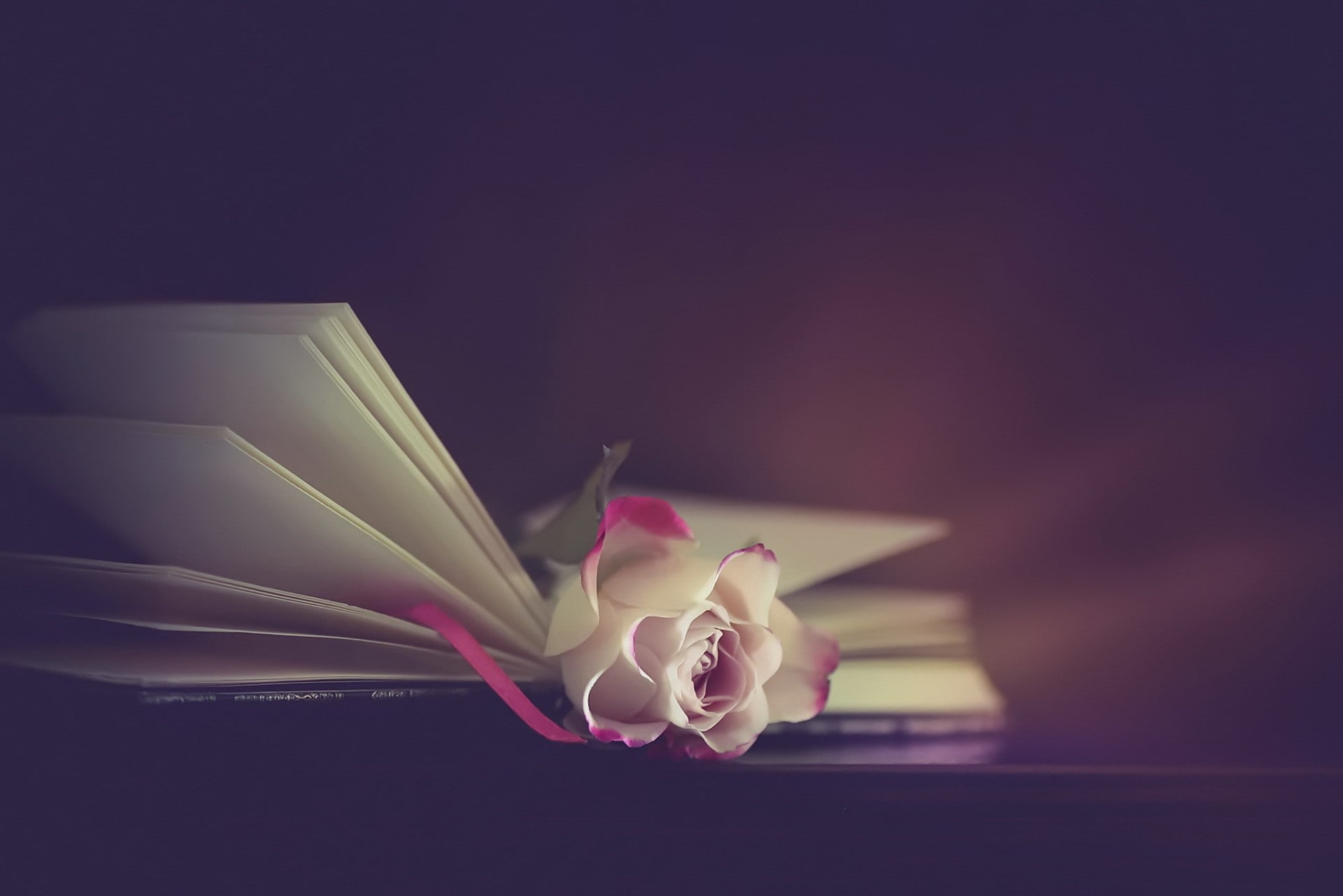 flowers, rose, books, 1080P, HD Wallpaper