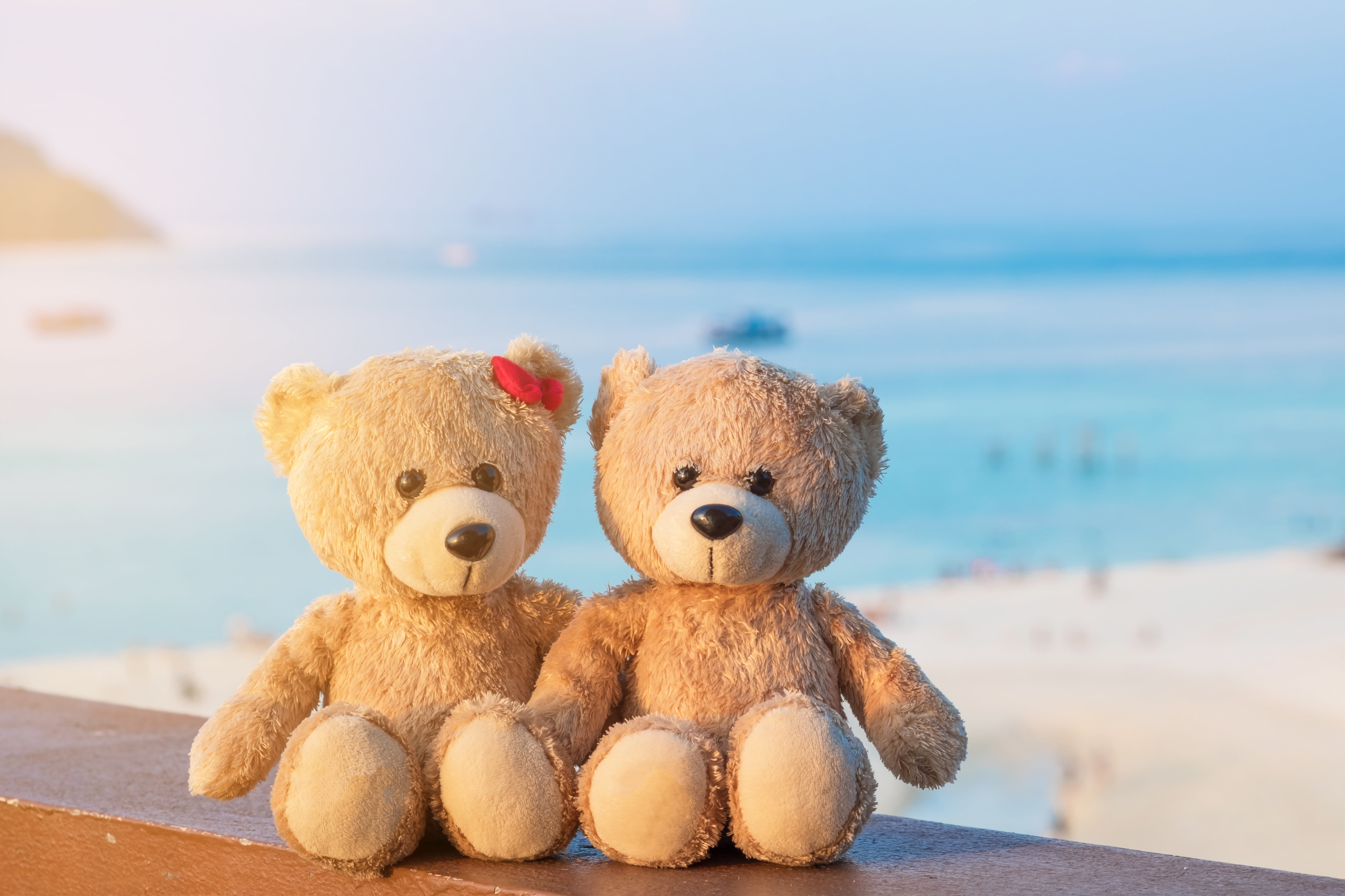 pair, sea, beach, sand, toy, love, two, 5K, cute, bear, romantic, teddy, couple, HD Wallpaper