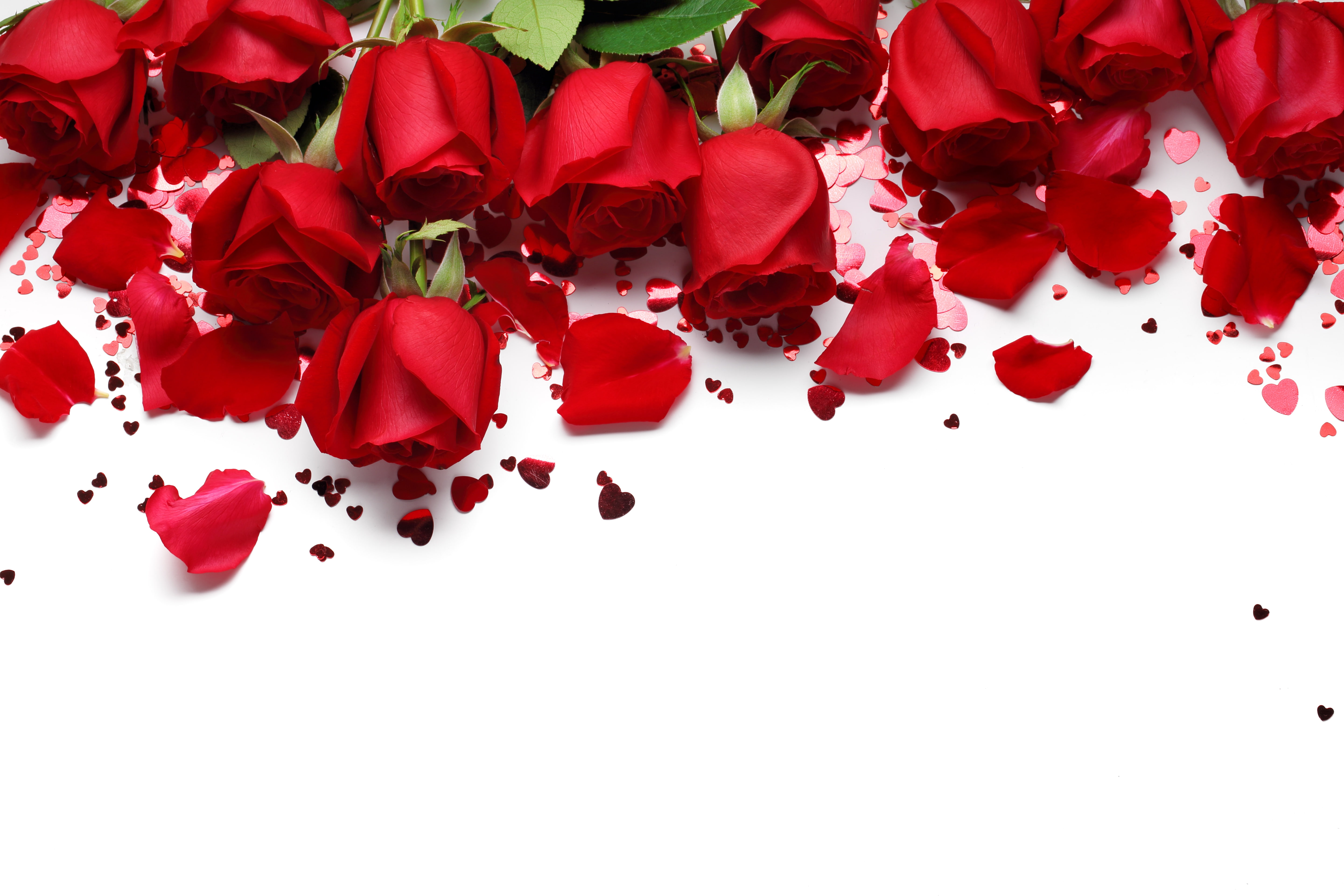 hearts, flowers, roses, gift, romantic, 5K, red roses, Valentines Day, red, love, HD Wallpaper
