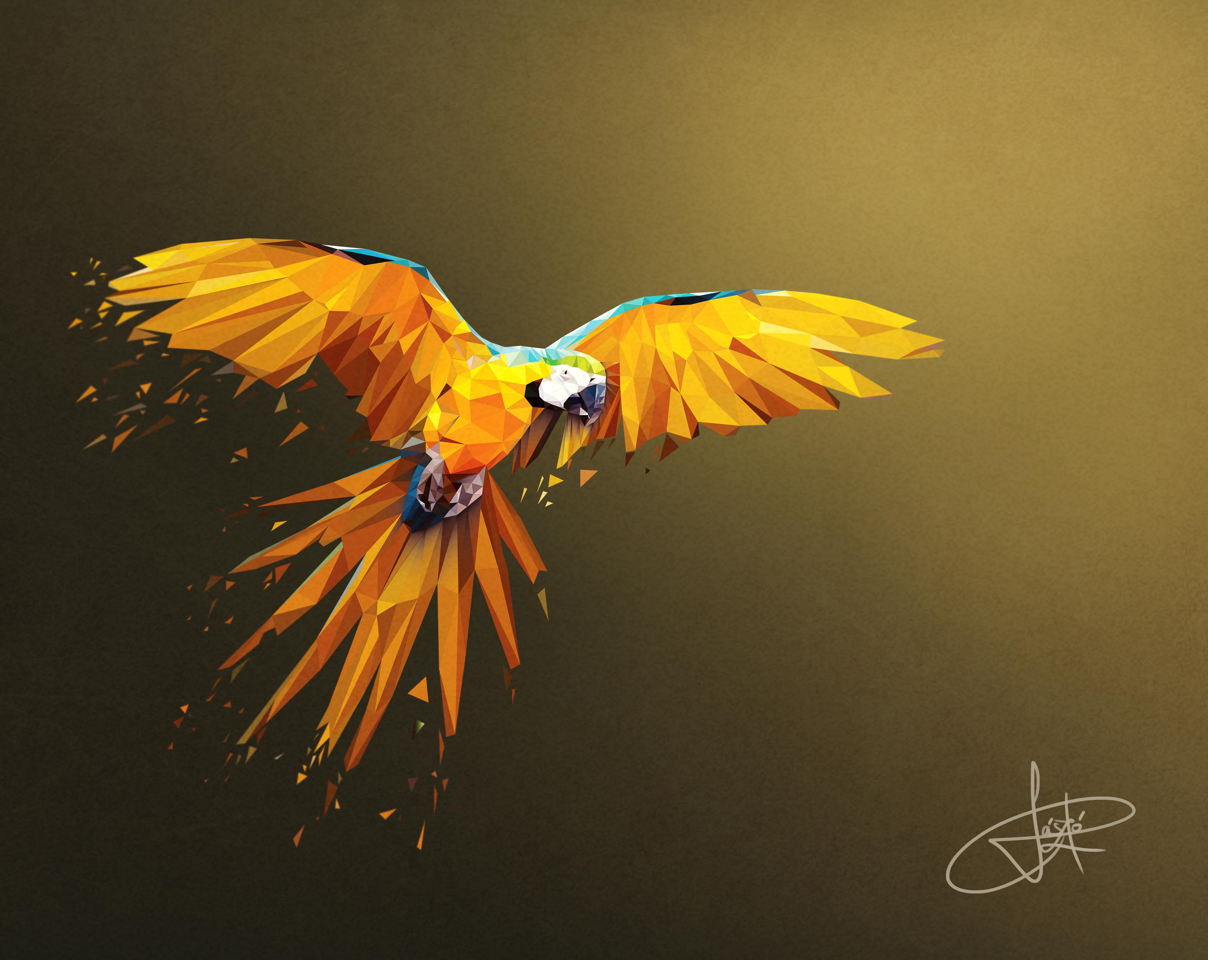 4k, digital art, artist, hd, artwork, parrot, macaw, birds, 4K, HD Wallpaper