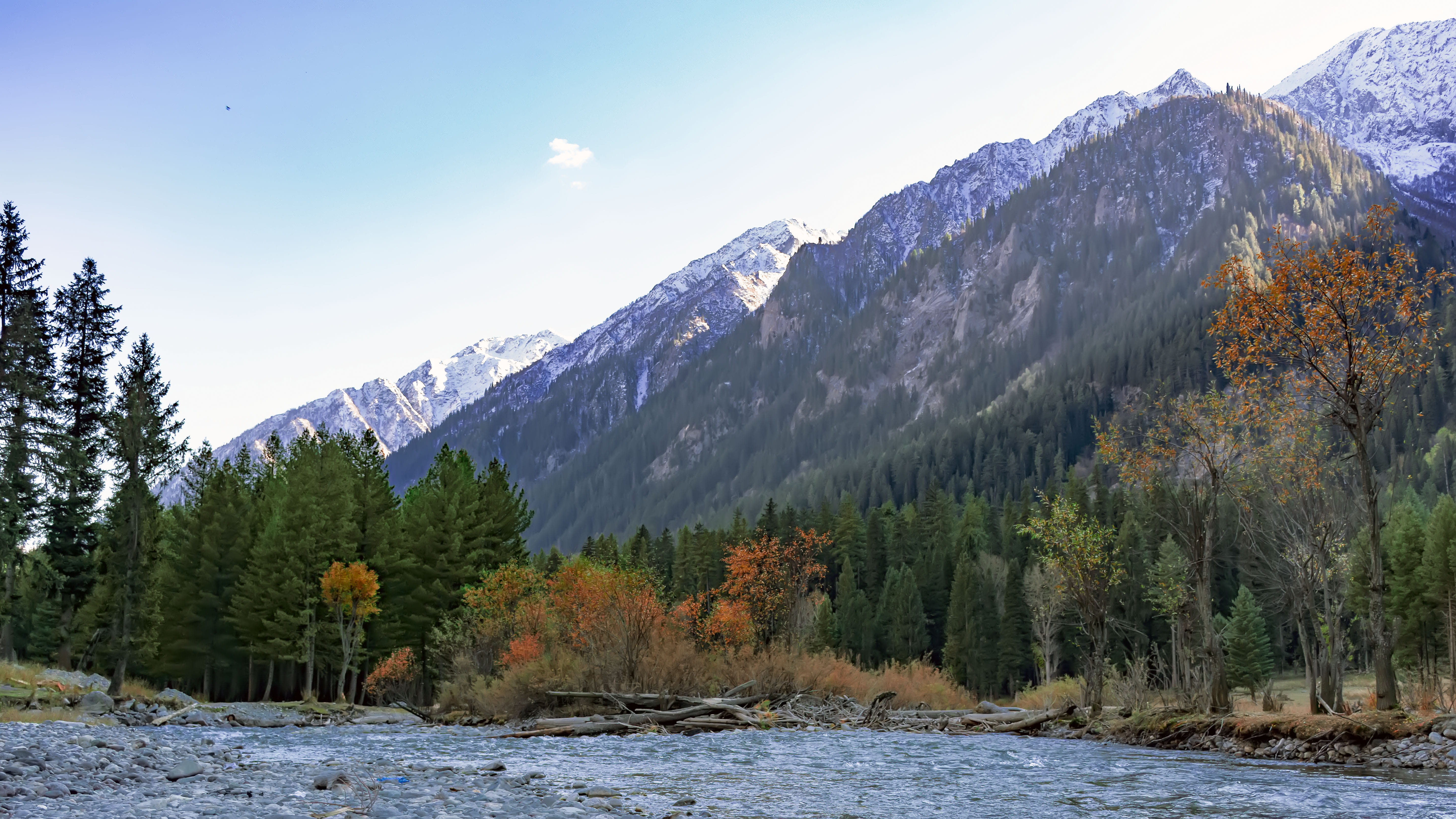 tops, day, beauty in nature, fall, coverd, dilshadrazi, non-urban scene, winter, upperdir, tree, coniferous tree, snowcapped mountain, beauty, kpk, water, HD Wallpaper