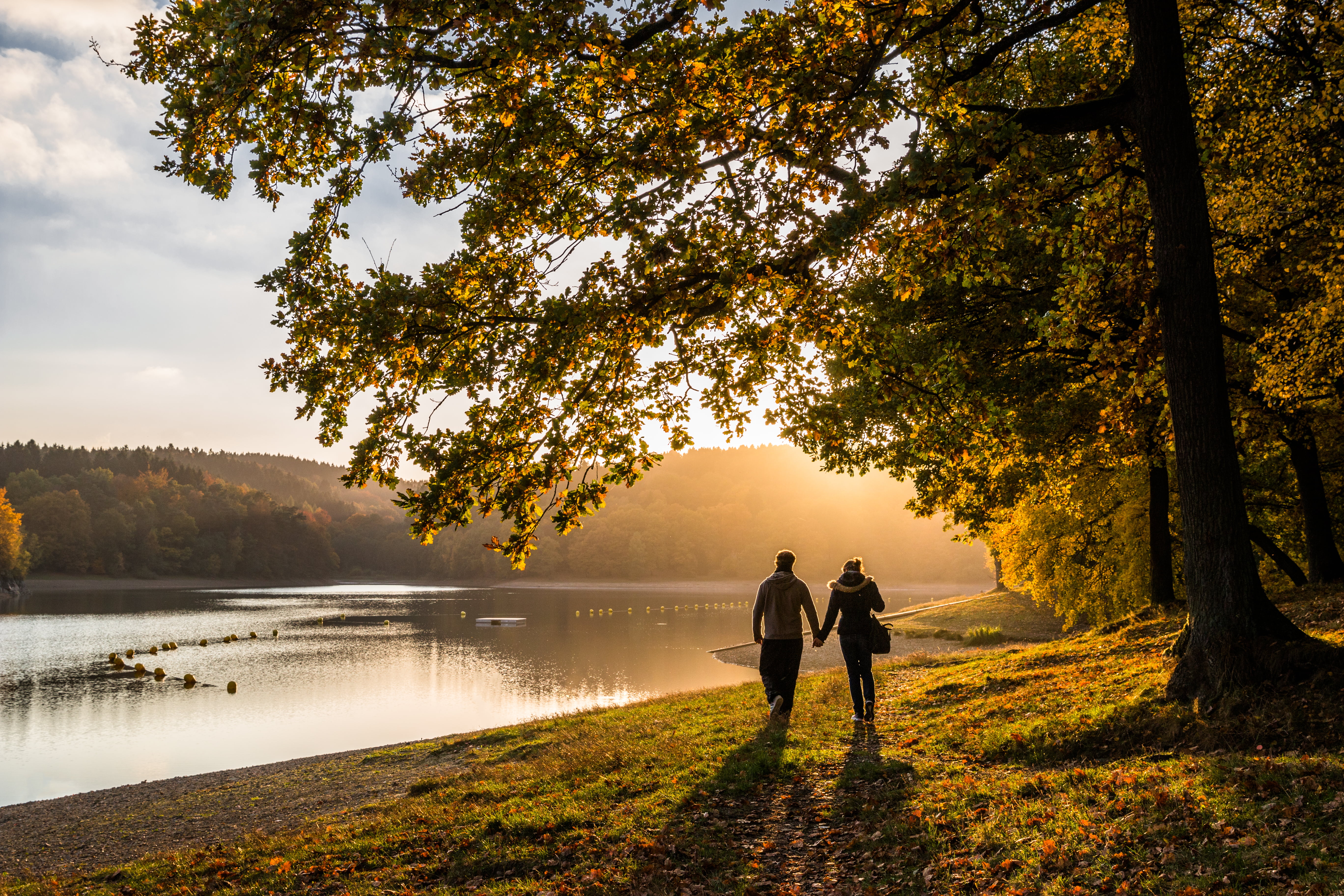 DE, outdoors, landscape, love, Deutschland, Canon  EOS  70D, water, 5K, Evening, on side, tree, walking, couple, nature, romance, Autumn, forest  people, HD Wallpaper