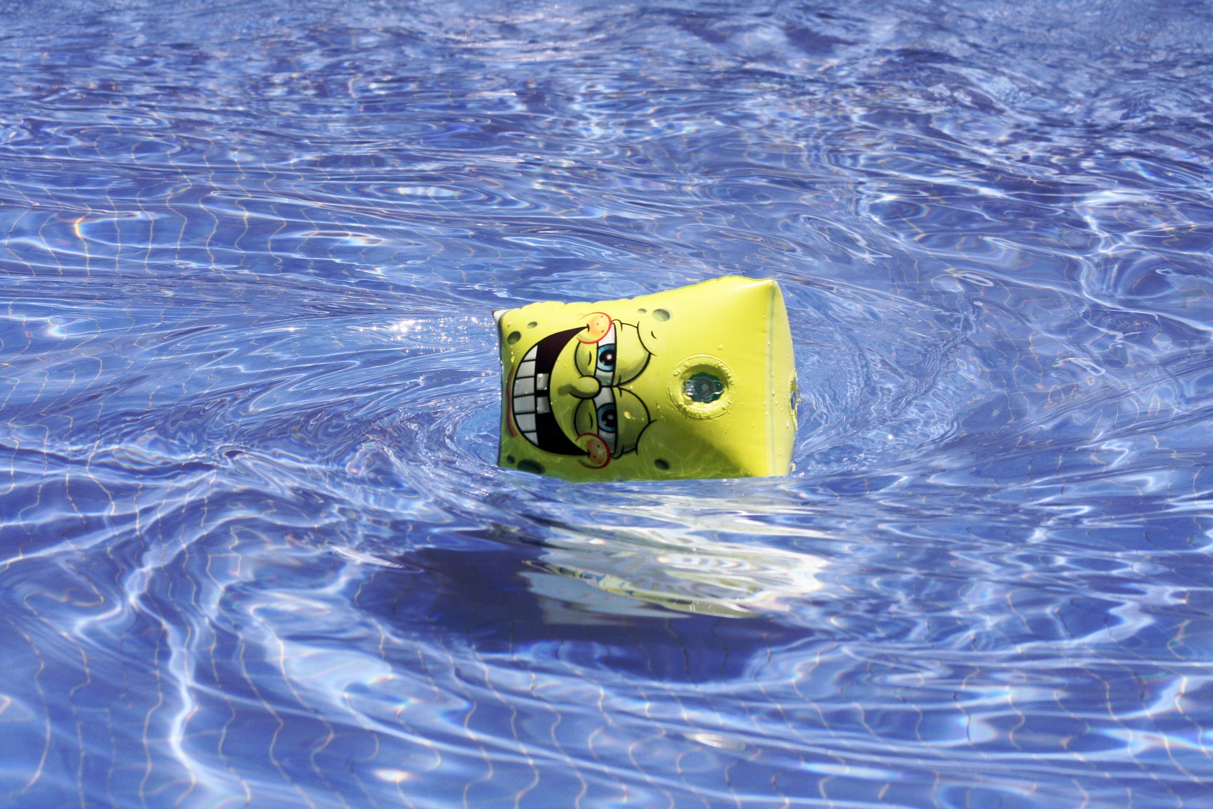 water, animal representation, representation, pool, floating on water, 4K, swimming pool, inflatable, no people, squarepants, sunlight, celeste, nature, HD Wallpaper