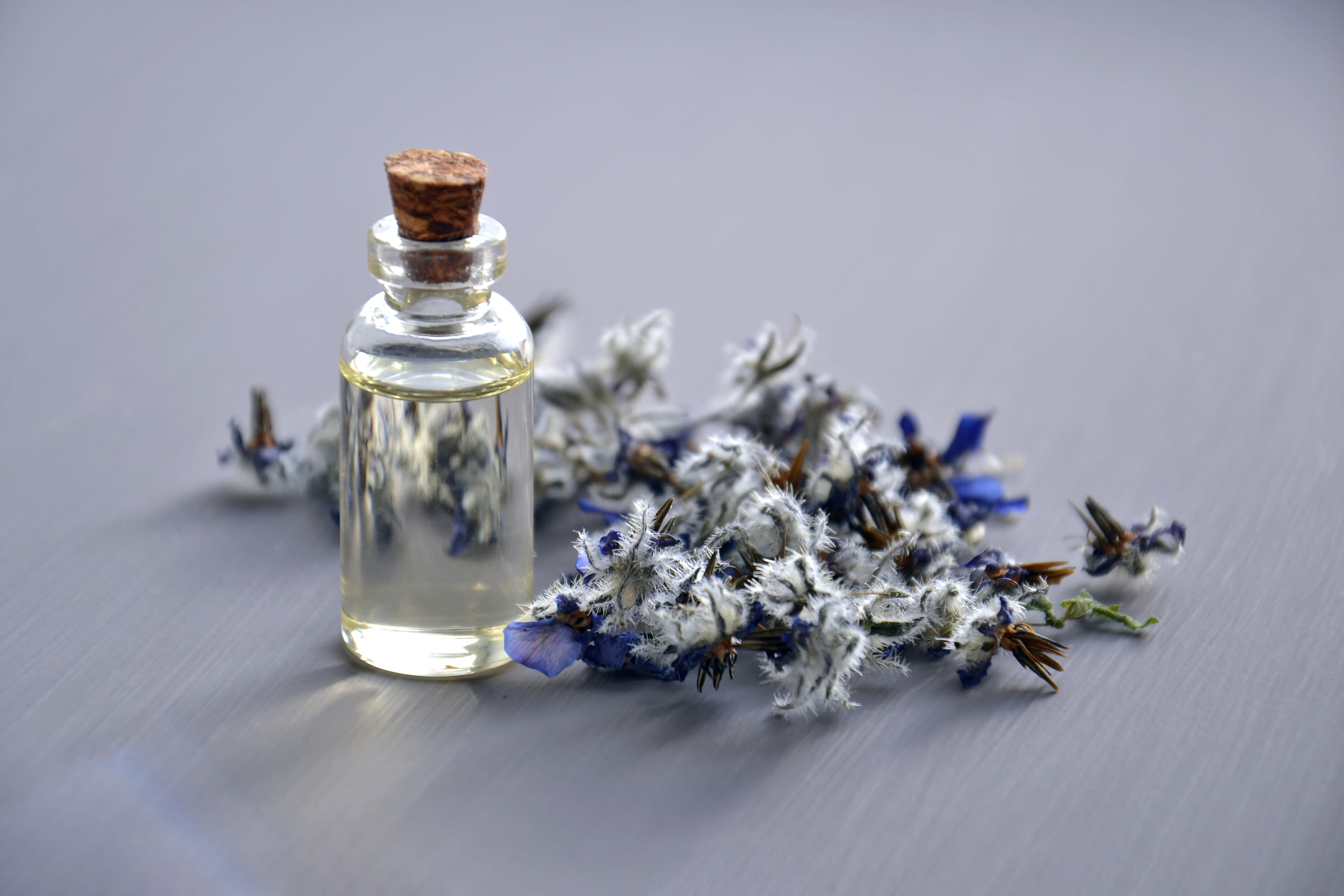 purple, scent, indoors, no people, lavender, container, flora, photo, freshness, fragrance, aromatic, liquid, flowers, bottle, fragrant, flowering plant, HD Wallpaper