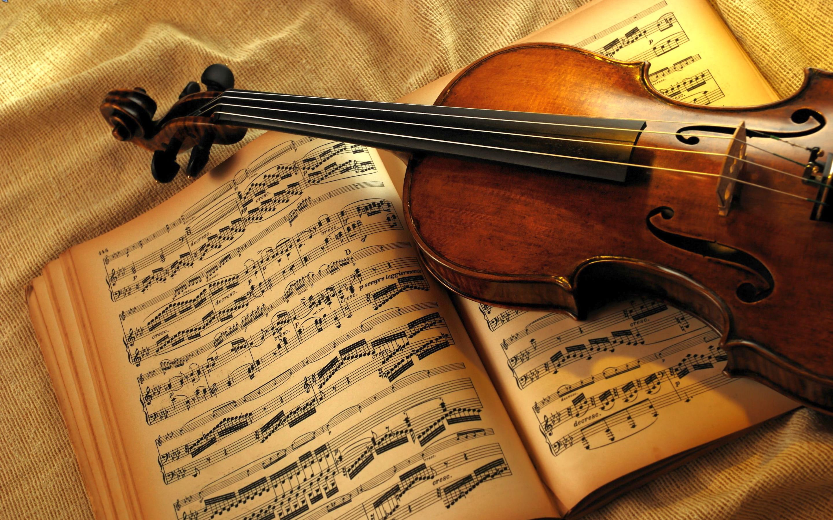 2K, classic, music, brown, violin, HD Wallpaper