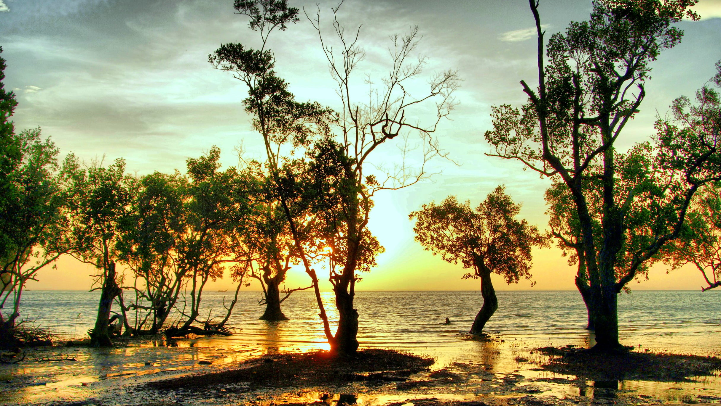 retouching, sunset, trees, Thailand, beach, 1080P, HD Wallpaper