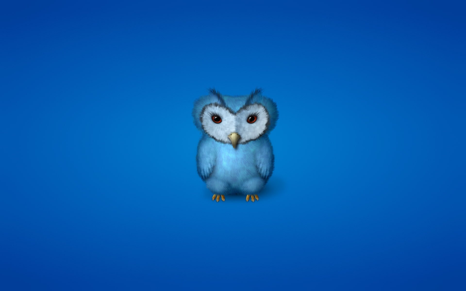 mammal, rodent, portrait, art, animal body part, no people, looking at camera, owl, bird, animals in the wild, colored background, 1080P, domestic, copy space, HD Wallpaper
