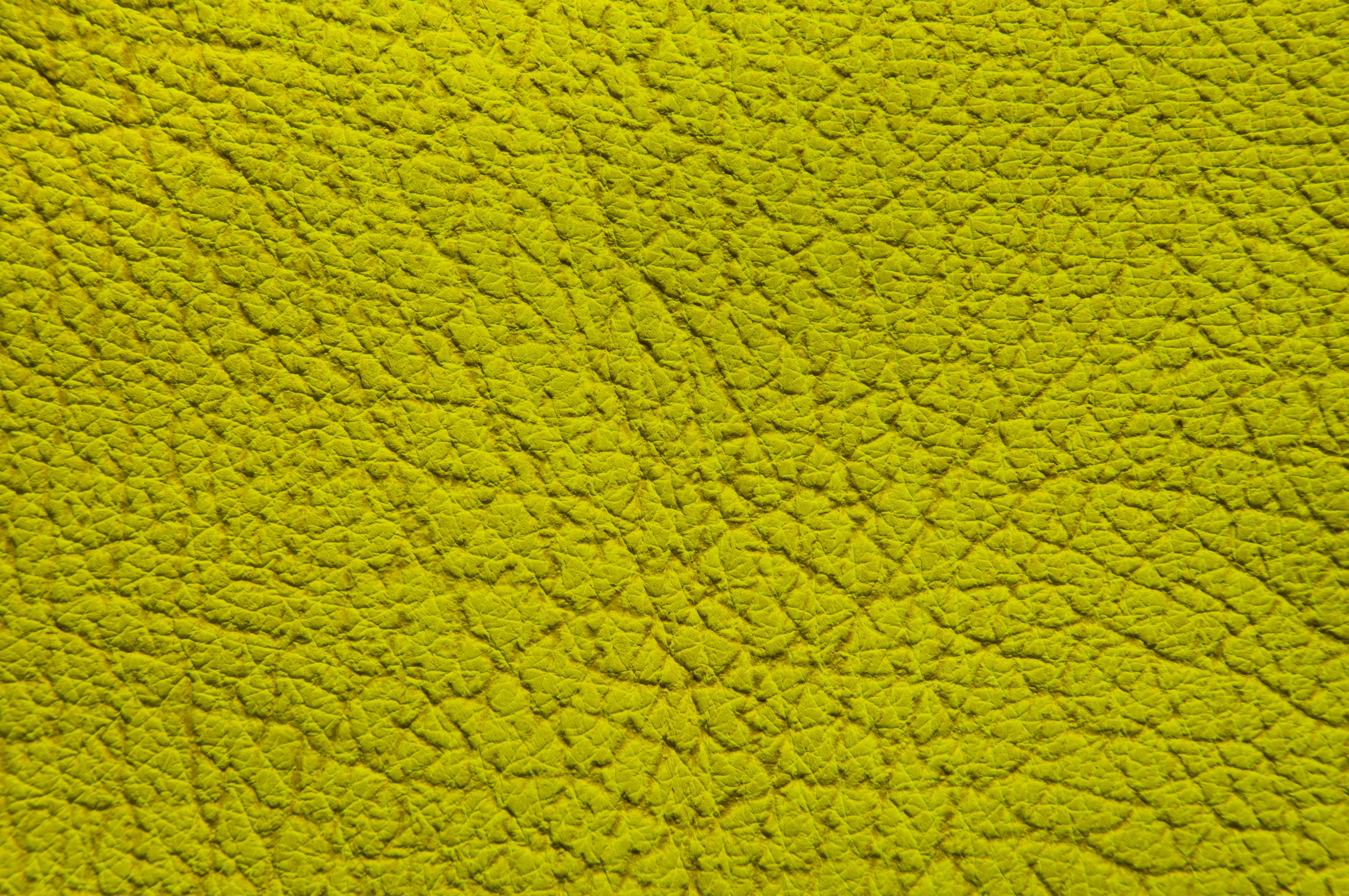 animal, close-up, texture, green, pattern, long lasting, textured, alive, open pore, outdoors, durable, no people, abstract, material, green color, water, HD Wallpaper