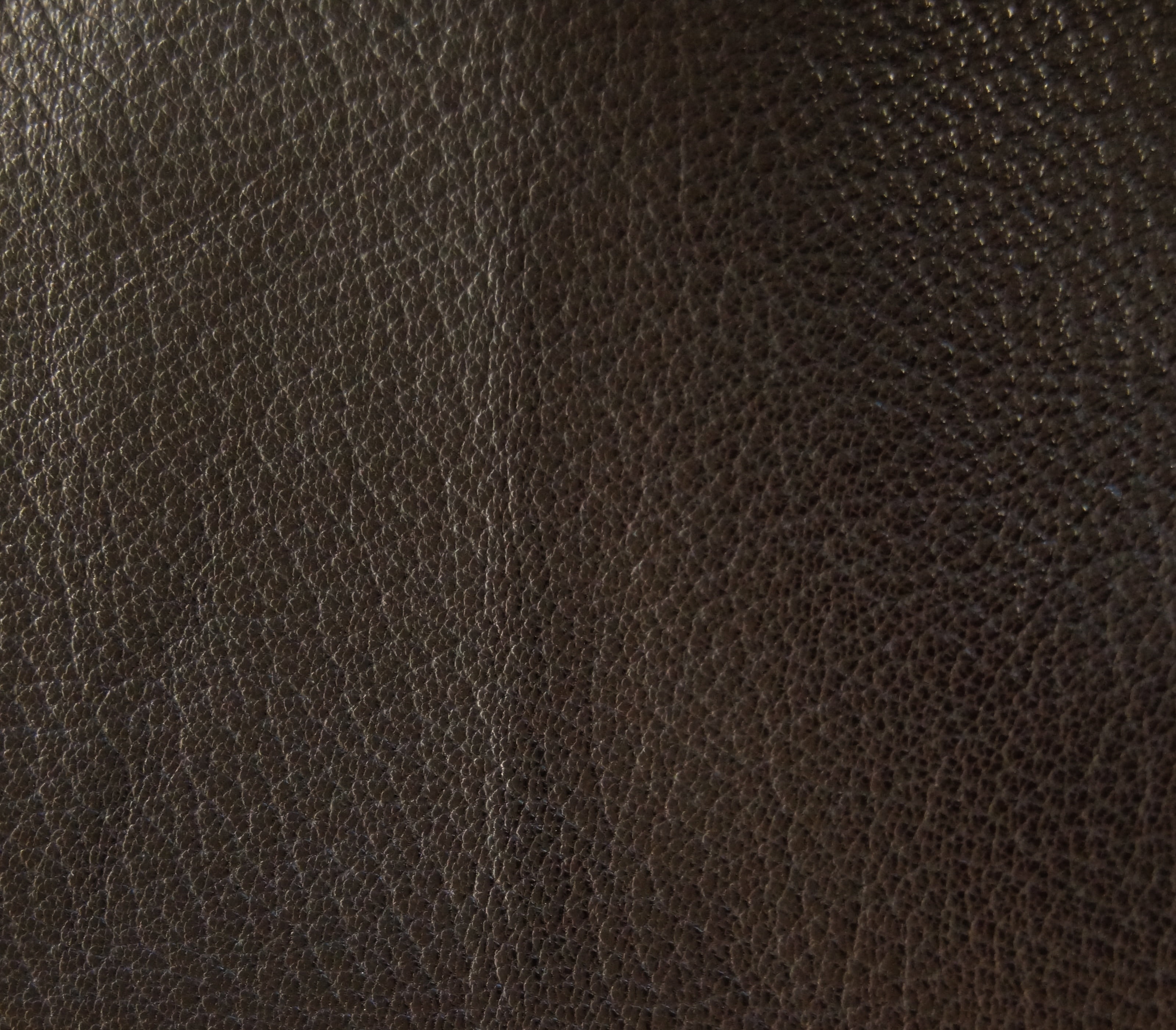 area, no people, skin, rau, black Color, studio shot, macro, animal skin, luxury, material, greyish, hide, 2K, real leather, textile, fur, leathery, black background, HD Wallpaper