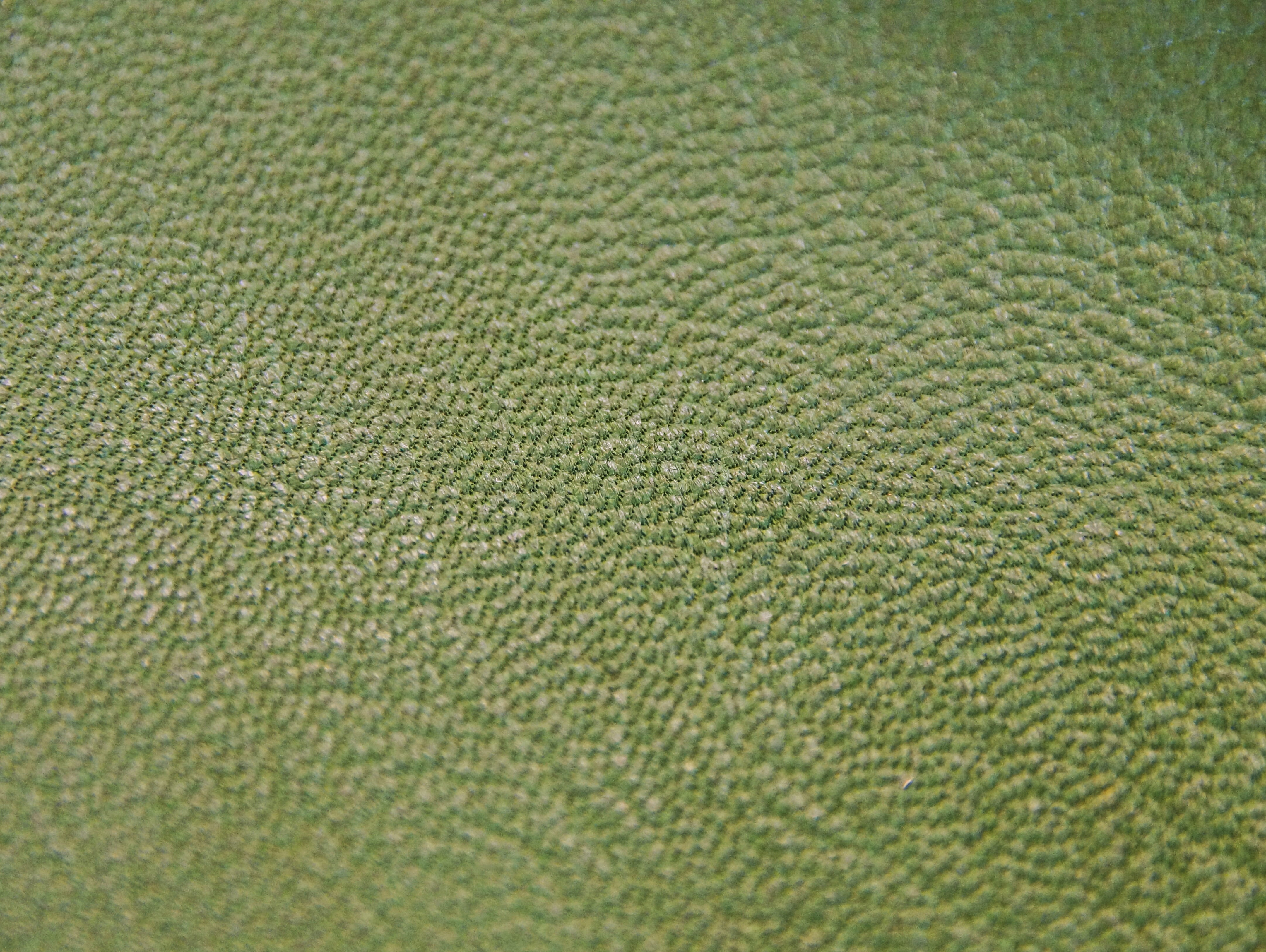 abstract backgrounds, close-up, indoors, no people, Texture, environment, gegärbt, softness, plant, 4K, full frame, nature, natural, land, pores, illuminated, HD Wallpaper