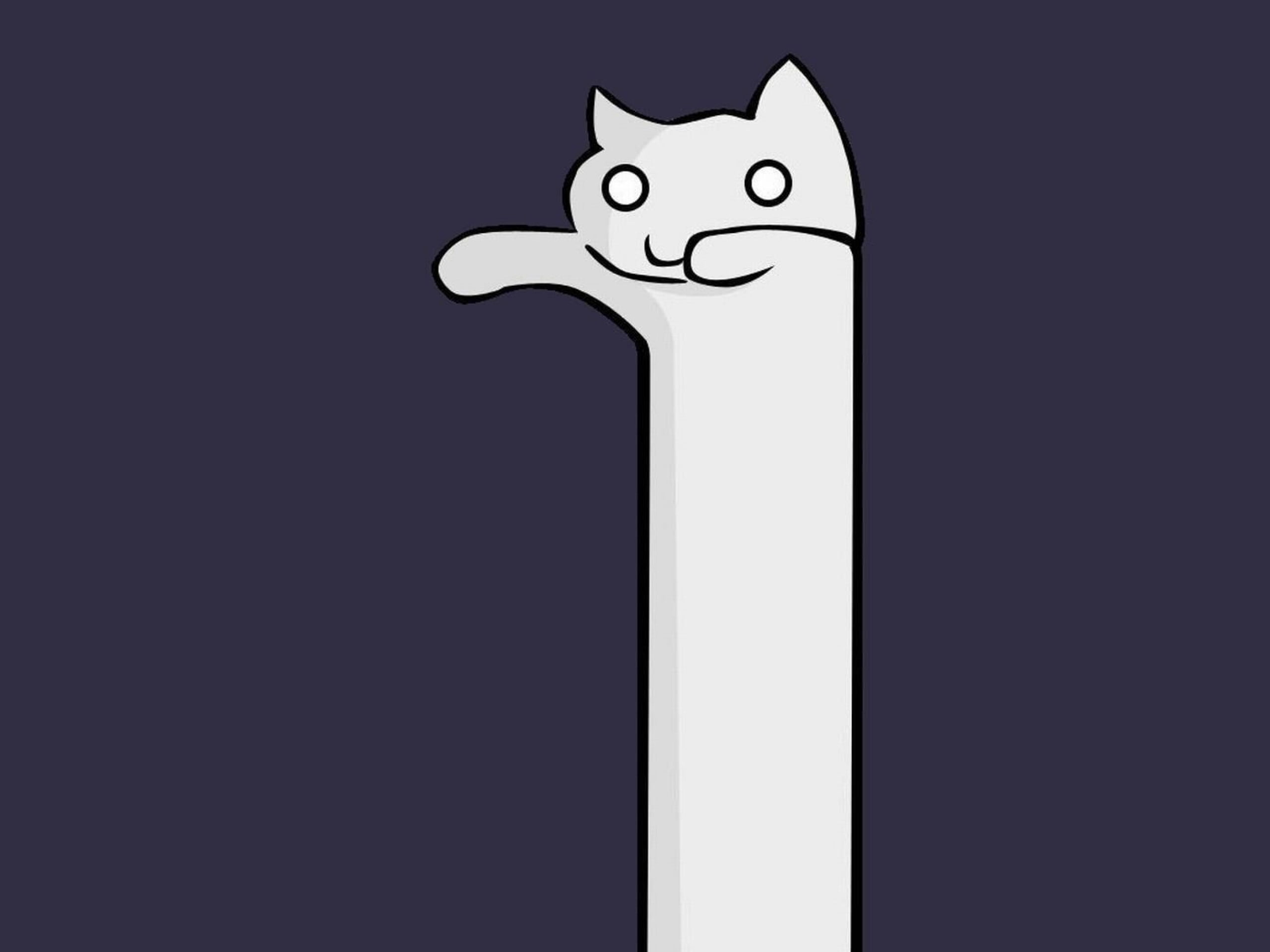 blue, mammal, fantasy, humor, communication, cat, animal themes, 2K, artwork, domestic, no people, representation, one animal, minimalism, creativity, HD Wallpaper