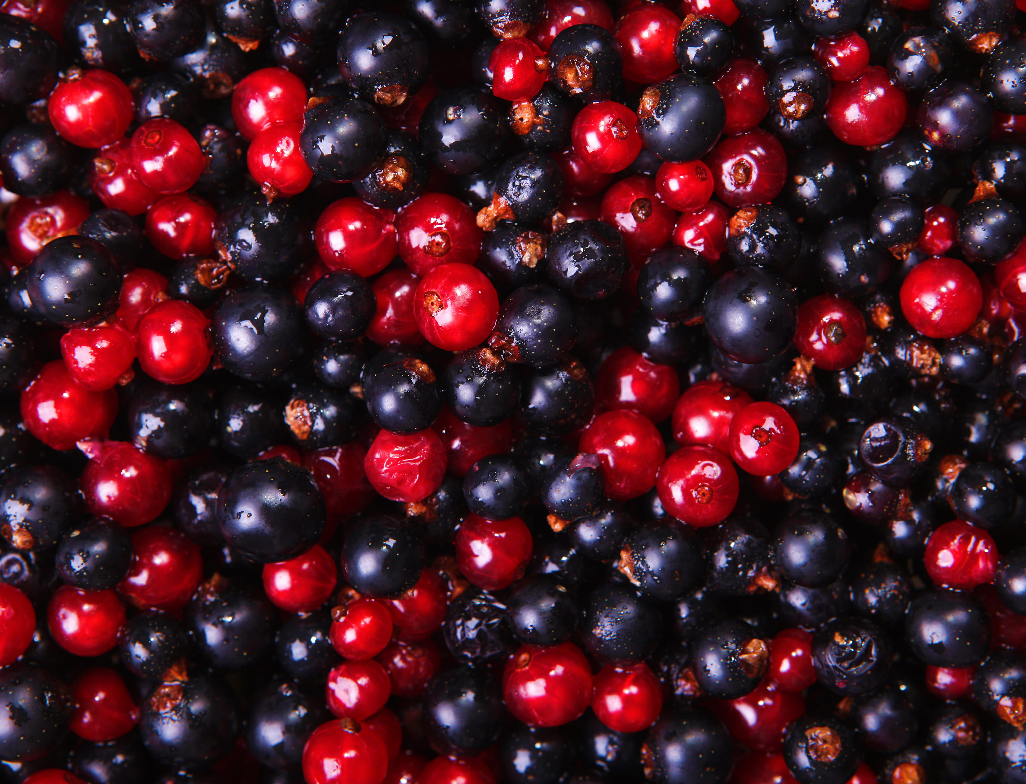 healthy, berry, organic, red, no people, strawberry, vegetarian, blackberry - fruit, pink, blueberry, full frame, textured, wellbeing, currant, fresh, freshness, HD Wallpaper