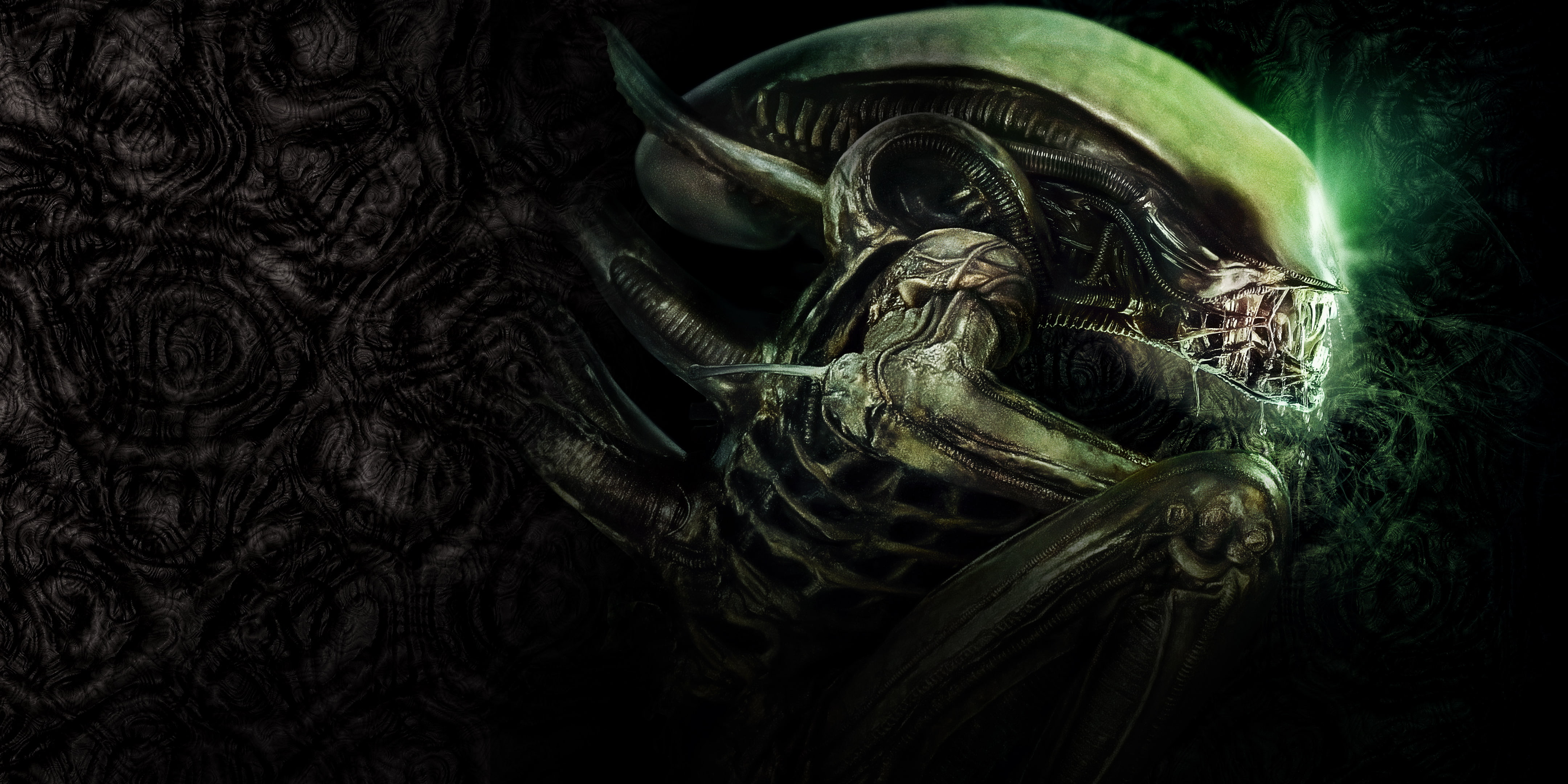 4K, green, digital, Alien, Xenomorph, 4K, Extraterrestrial, HD Wallpaper