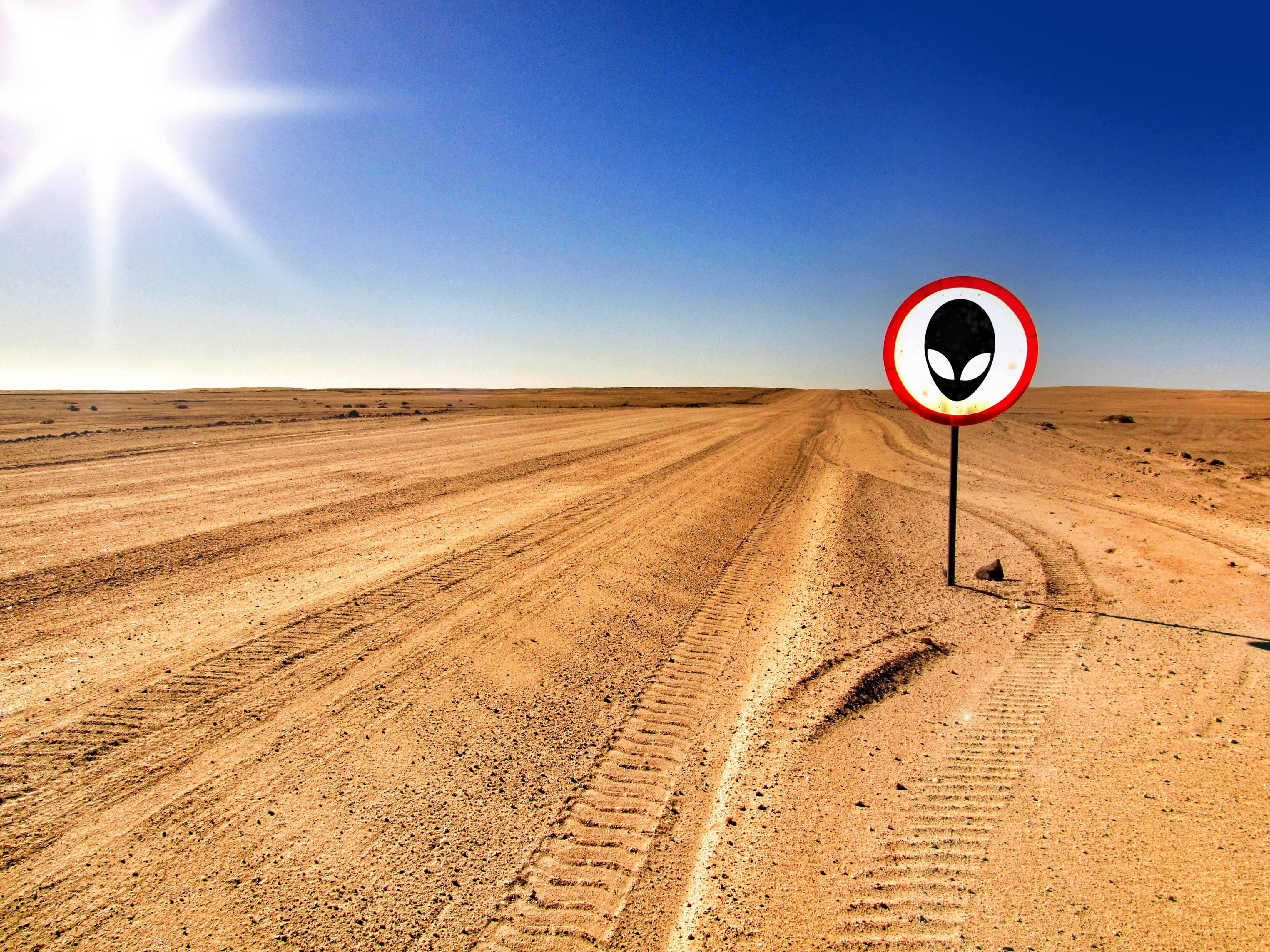 driving, day, climate, risk, america, warnschild, horizon over land, outdoors, alie, field, brown, shield, scenics - nature, sign, clear sky, arrival, hot, HD Wallpaper