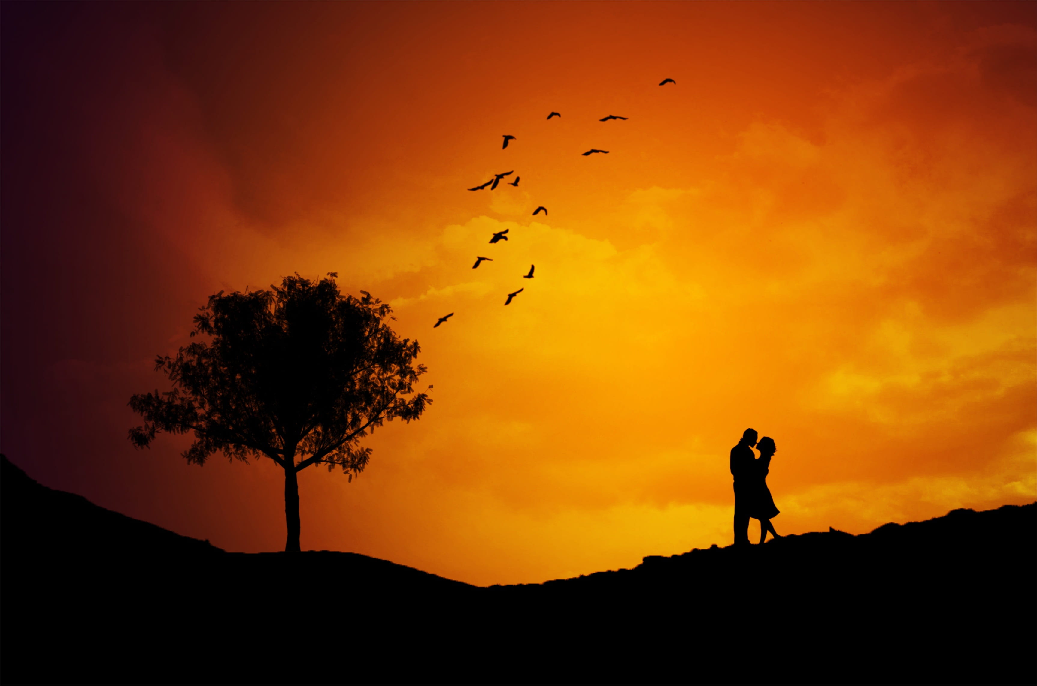 landscape, orange color, animals in the wild, nature, couple, silhouette, animal wildlife, one person, love, standing, flock of birds, flying, bird, birds, HD Wallpaper