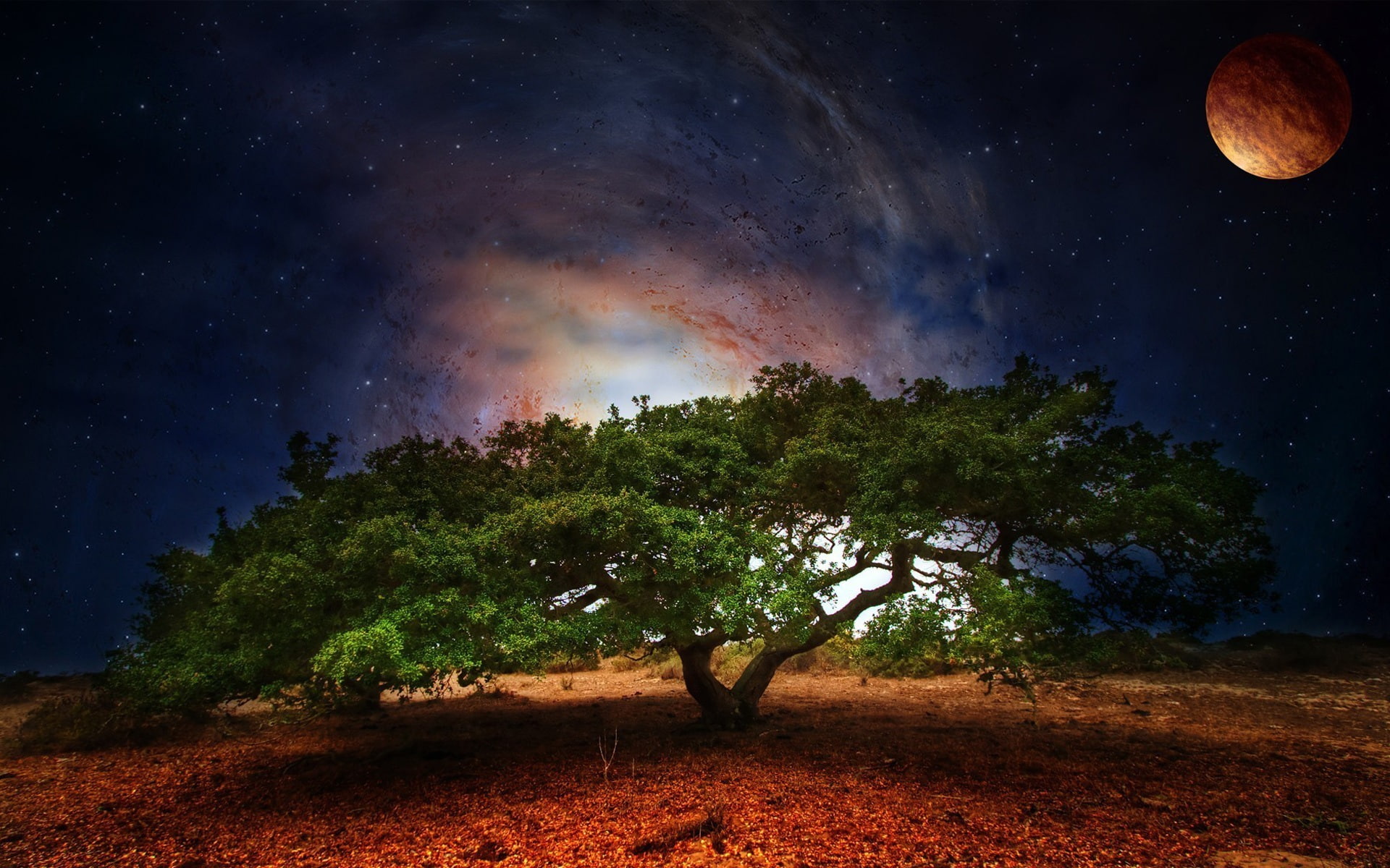 Creative, Galaxy, 1080P, Design, Planet, Tree, HD Wallpaper