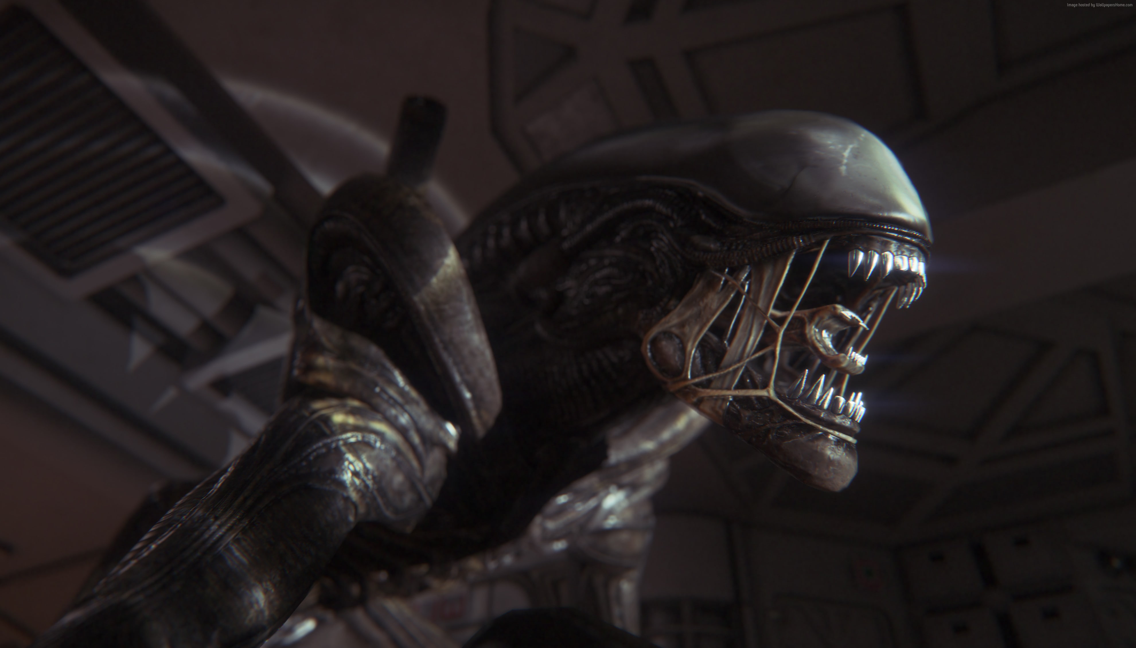 Survival Horror, 4K, Alien Isolation, craft, focus on foreground, built structure, history, low angle view, 5k, metal, body part, creativity, game, sculpture, HD Wallpaper