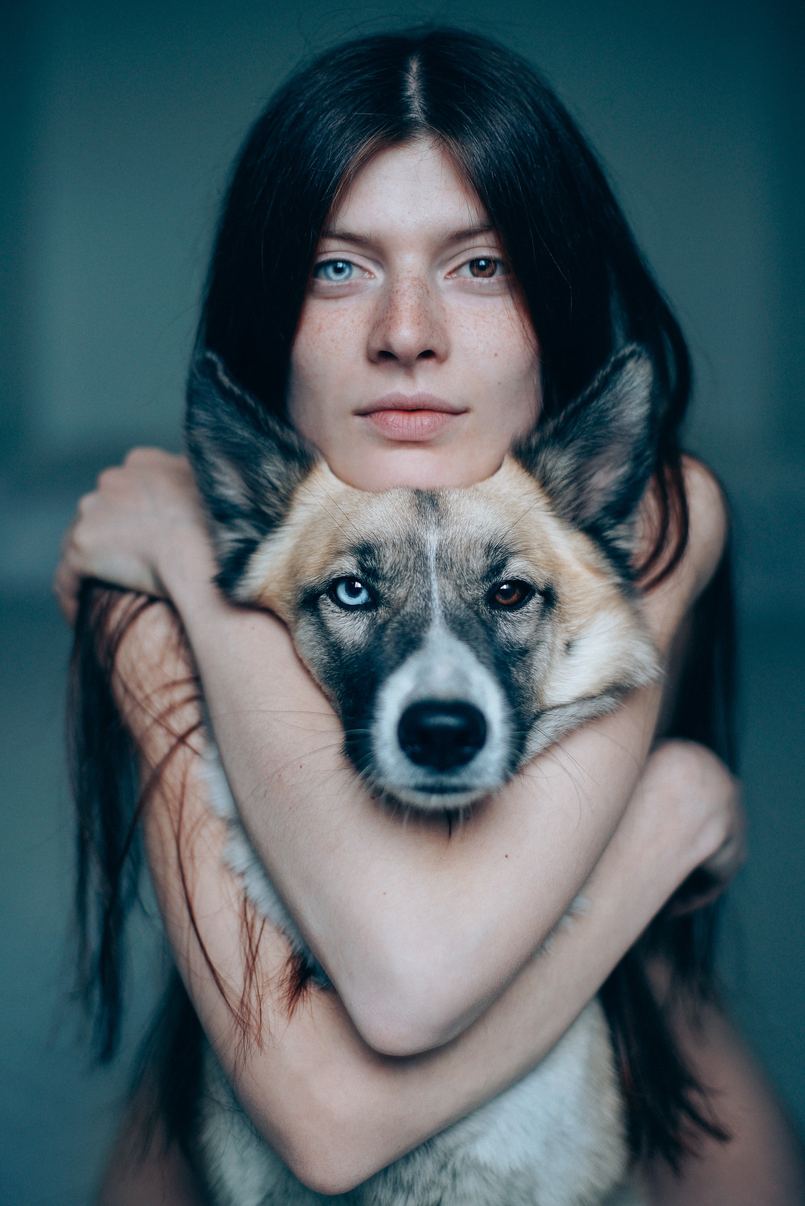 one animal, freckles, blue eyes, pets, looking at camera, 4K, mammal, heterochromia, teenager, holding, adult, pet owner, hairstyle, purebred dog, dog, Phone HD Wallpaper